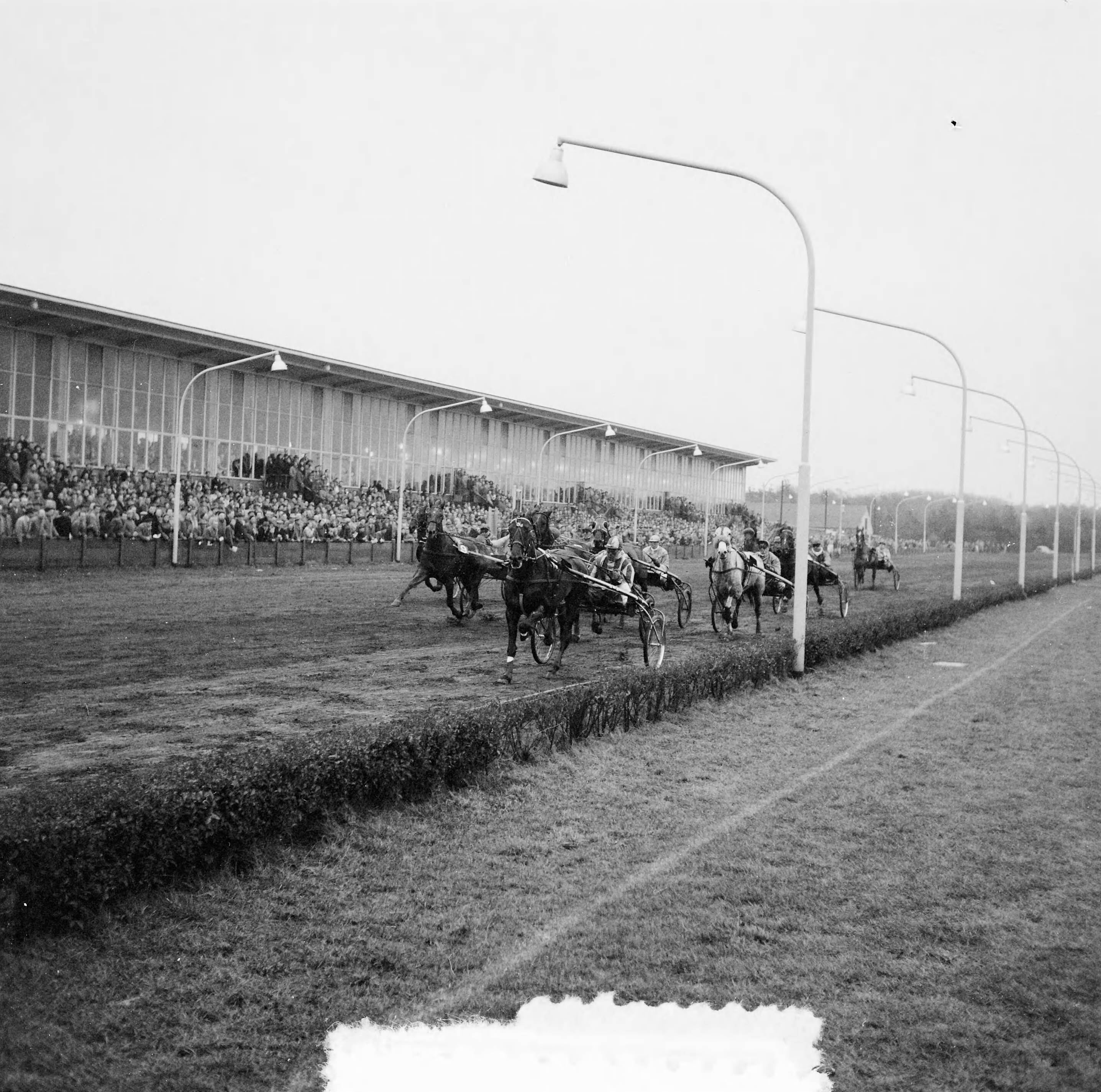 Fotocollectie Anefo — Draverijen te Hilversum om Grote Kerstprijs — Foto: Behrens, Herbert F. / Anefo. Licentie: Set B: Rechtenvrij / Publiek Domein. Bron: Nationaal Archief. http://hdl.handle.net/10648/a940e190-d0b4-102d-bcf8-003048976d84
