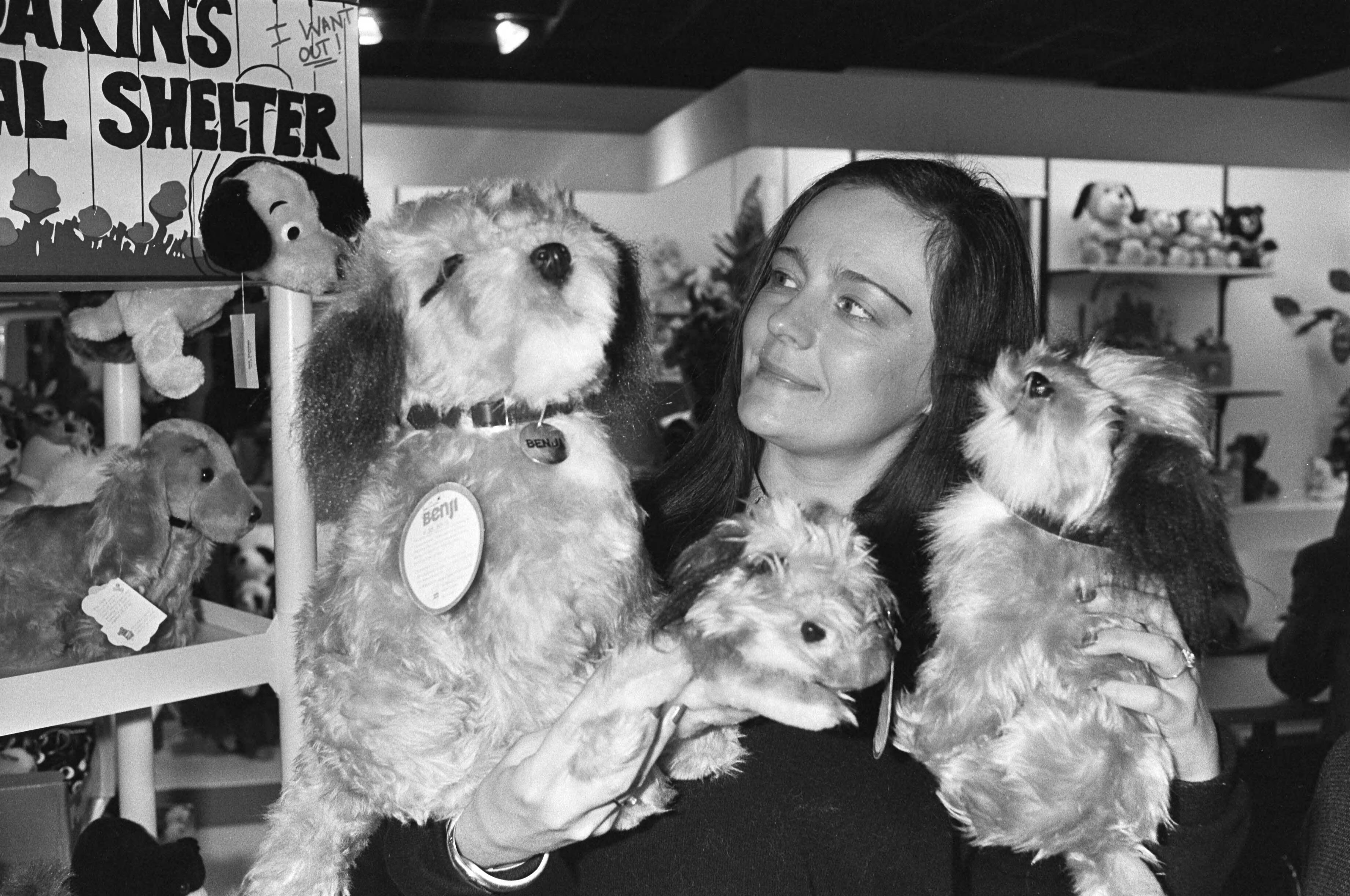 Fotocollectie Anefo — Voorjaars- en relatiegeschenkenbeurs in Utrecht; speelgoedhonden gemaakt naar de filmhond Benji — Foto: Suyk, Koen / Anefo. Licentie: Set B: Rechtenvrij / Publiek Domein. Bron: Nationaal Archief. http://hdl.handle.net/10648/acdbe11a-d0b4-102d-bcf8-003048976d84