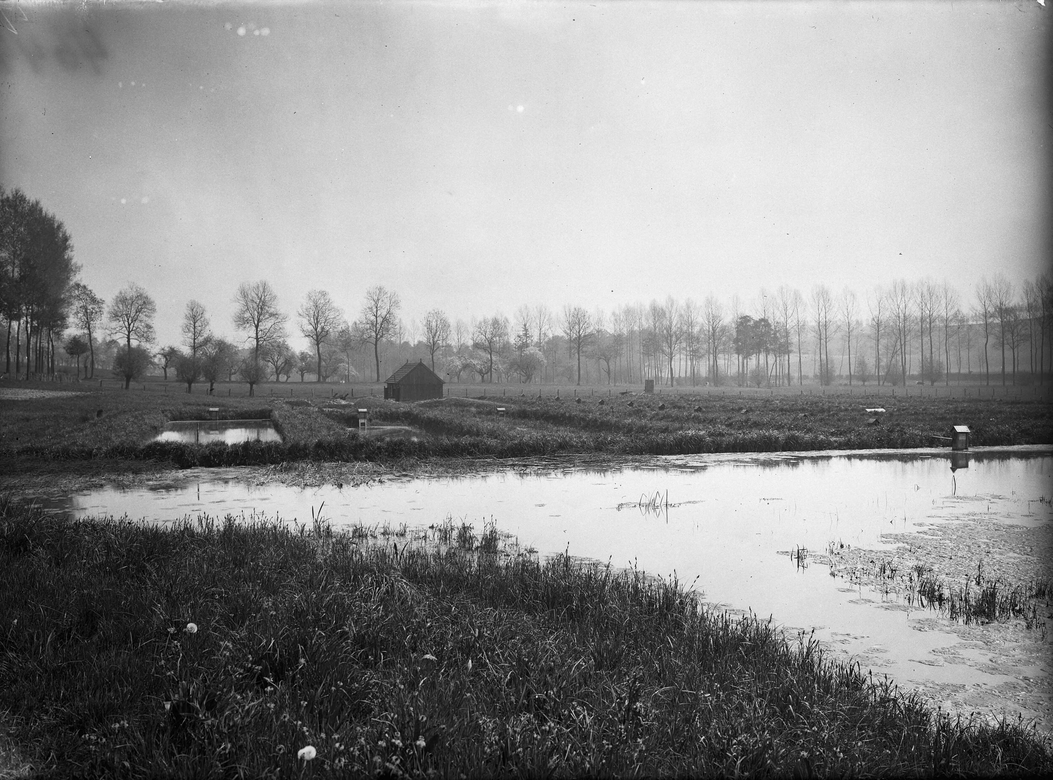 Fotocollectie Nederlandse Heidemaatschappij — Kweekvijvers te Gulpen — Foto: Fotograaf Onbekend / Heidemij. Licentie: Set B: Rechtenvrij / Publiek Domein. Bron: Nationaal Archief. http://hdl.handle.net/10648/ae7c3d58-d0b4-102d-bcf8-003048976d84