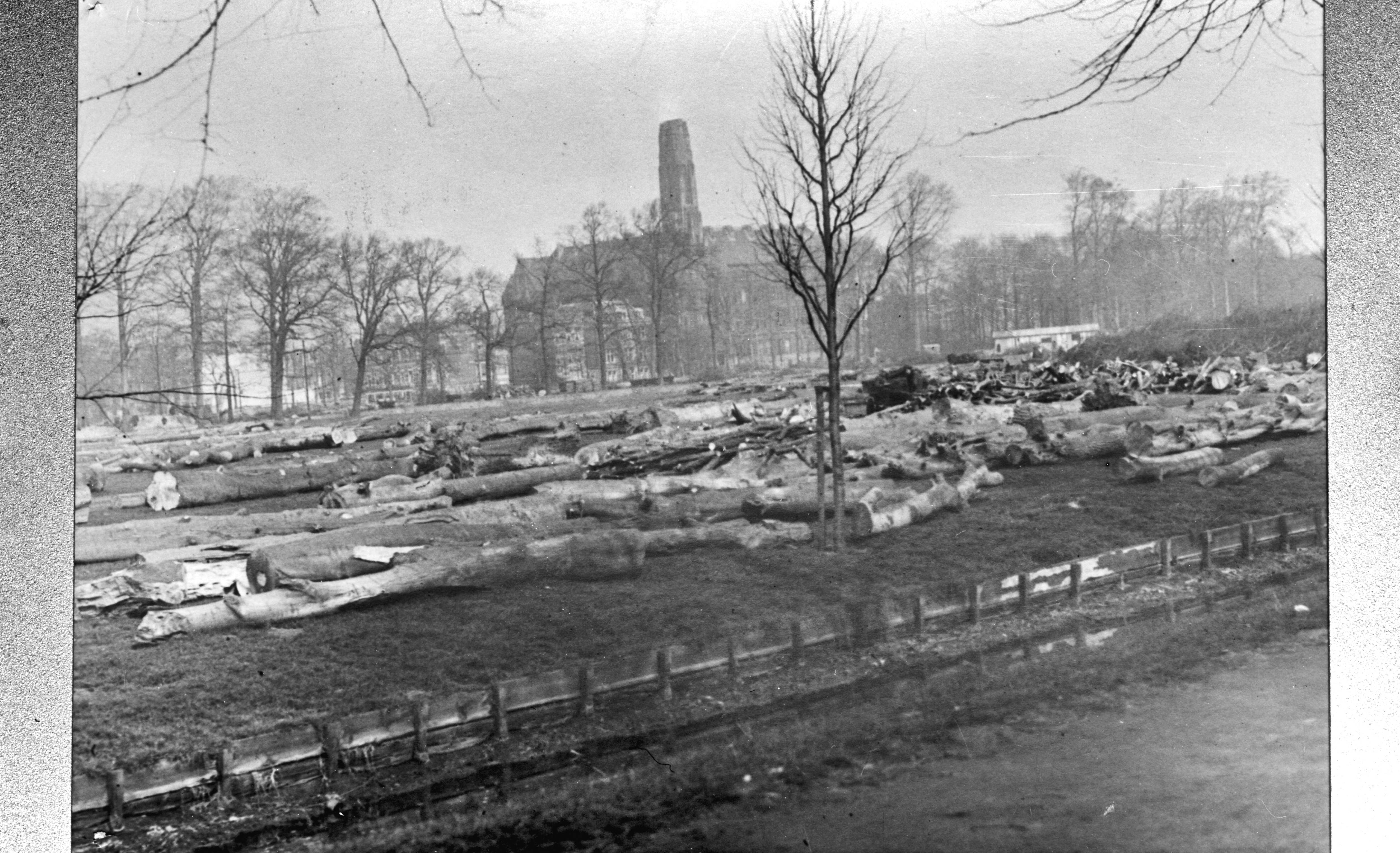 Fotocollectie Anefo — Den Haag. Afbraak voor bouw Atlantikwall. Malieveld bezaaid met boomstammen van gekapte bomen — Foto: Fotopersbureau Van den Heuvel. Licentie: Set B: Rechtenvrij / Publiek Domein. Bron: Nationaal Archief. http://hdl.handle.net/10648/ad7d6012-d0b4-102d-bcf8-003048976d84