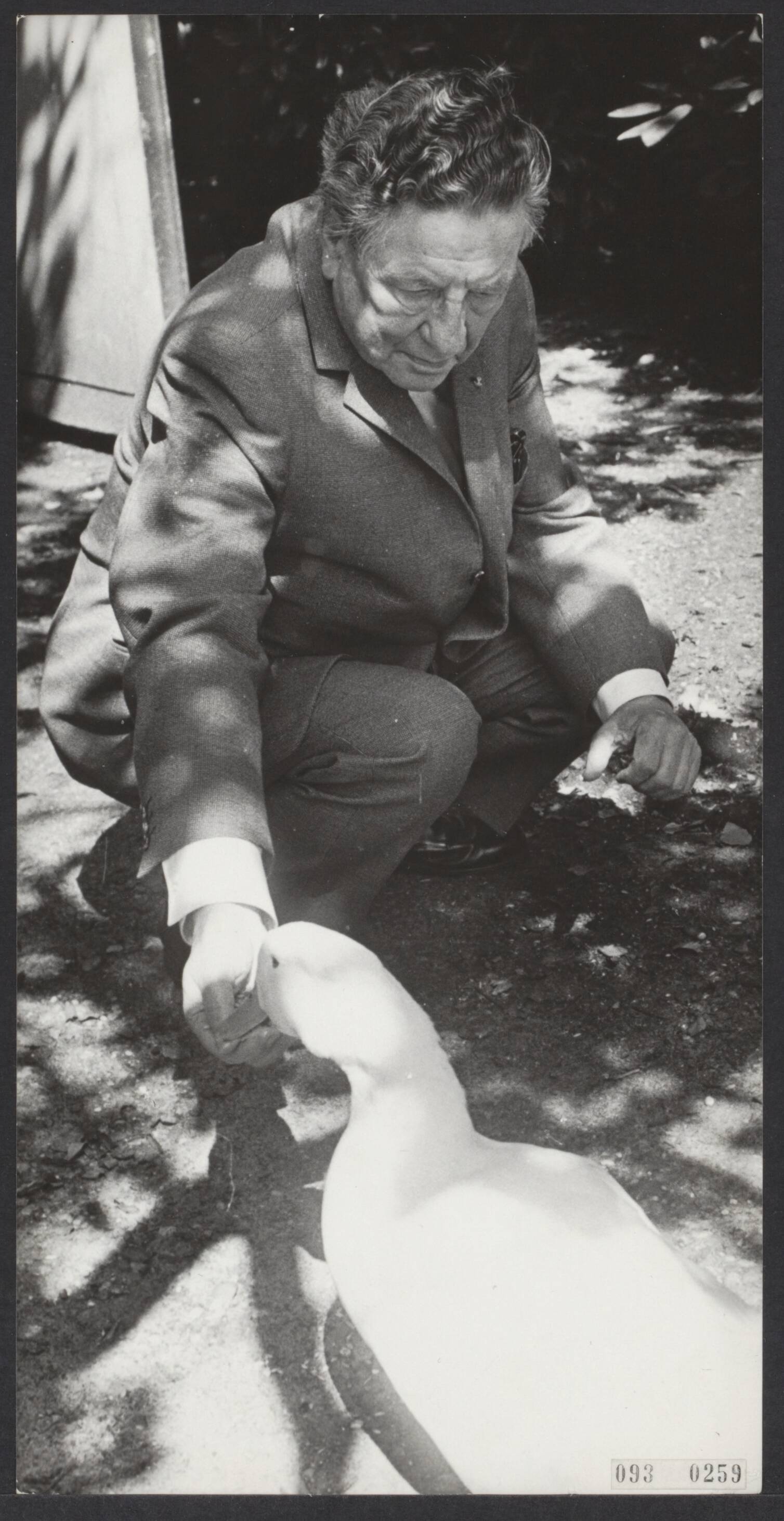 Fotocollectie Elsevier Binnenland — Willem Vogt, radiopionier, oprichter en oud-directeur van de AVRO viert zijn 80e verjaardag , hier poseert hij in zijn tuin te Blaricum, terwijl hij een gans voert — Foto: Koch, Eric / Anefo. Licentie: Set B: Rechtenvrij / Publiek Domein. Bron: Nationaal Archief. http://hdl.handle.net/10648/ae27a022-d0b4-102d-bcf8-003048976d84