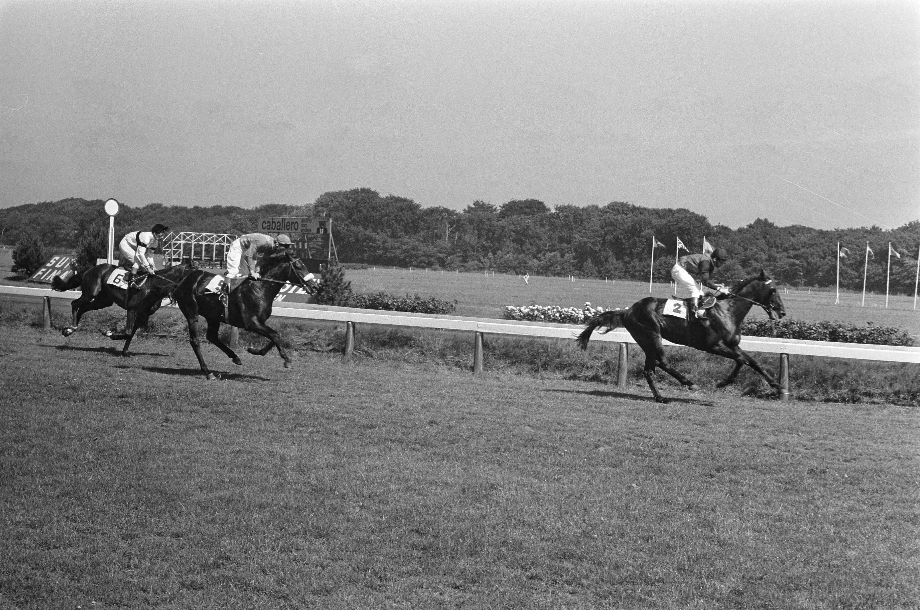 "Derby" op Duindigt — Duindigt|Zuid-Holland|Wassenaar|paardensport — Foto: Fotograaf Onbekend / Anefo. Licentie: Set B: Rechtenvrij / Publiek Domein. Bron: Nationaal Archief. http://hdl.handle.net/10648/ab72a836-d0b4-102d-bcf8-003048976d84