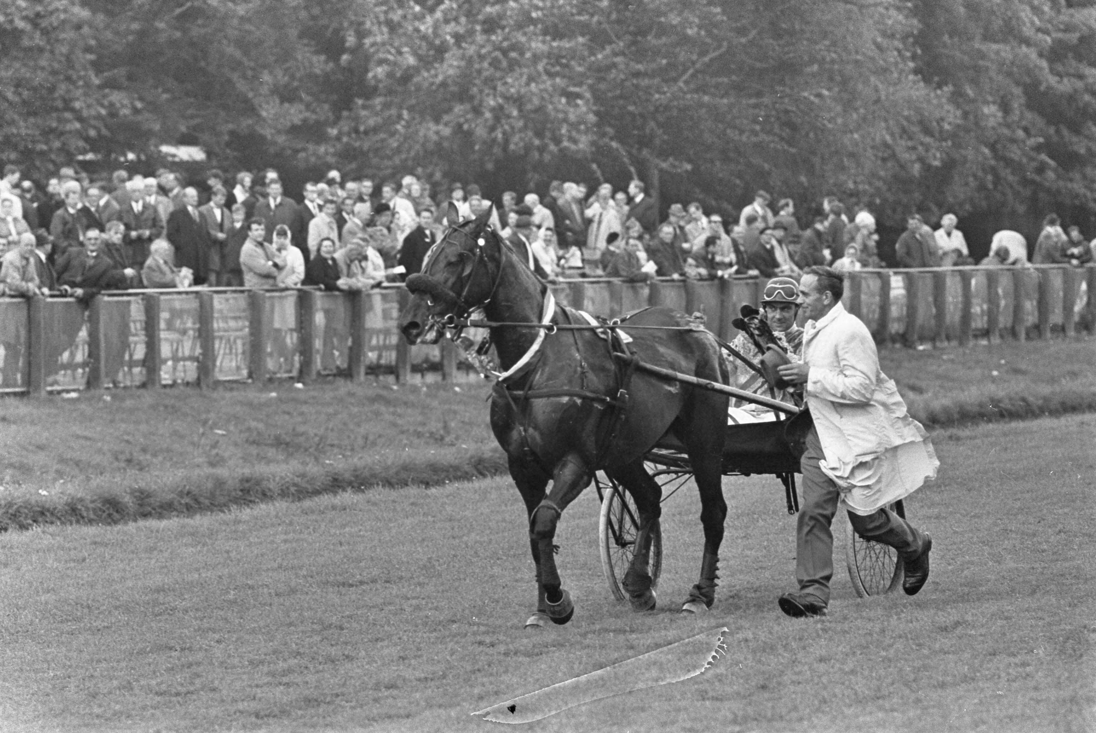 Draverijkampioenschappen Nederland-België 1968 op Duindigt — Paard en pikeur worden op de baan begeleid — Foto: Fotograaf Onbekend / Anefo. Licentie: Set B: Rechtenvrij / Publiek Domein. Bron: Nationaal Archief. http://hdl.handle.net/10648/ab4f5ac0-d0b4-102d-bcf8-003048976d84