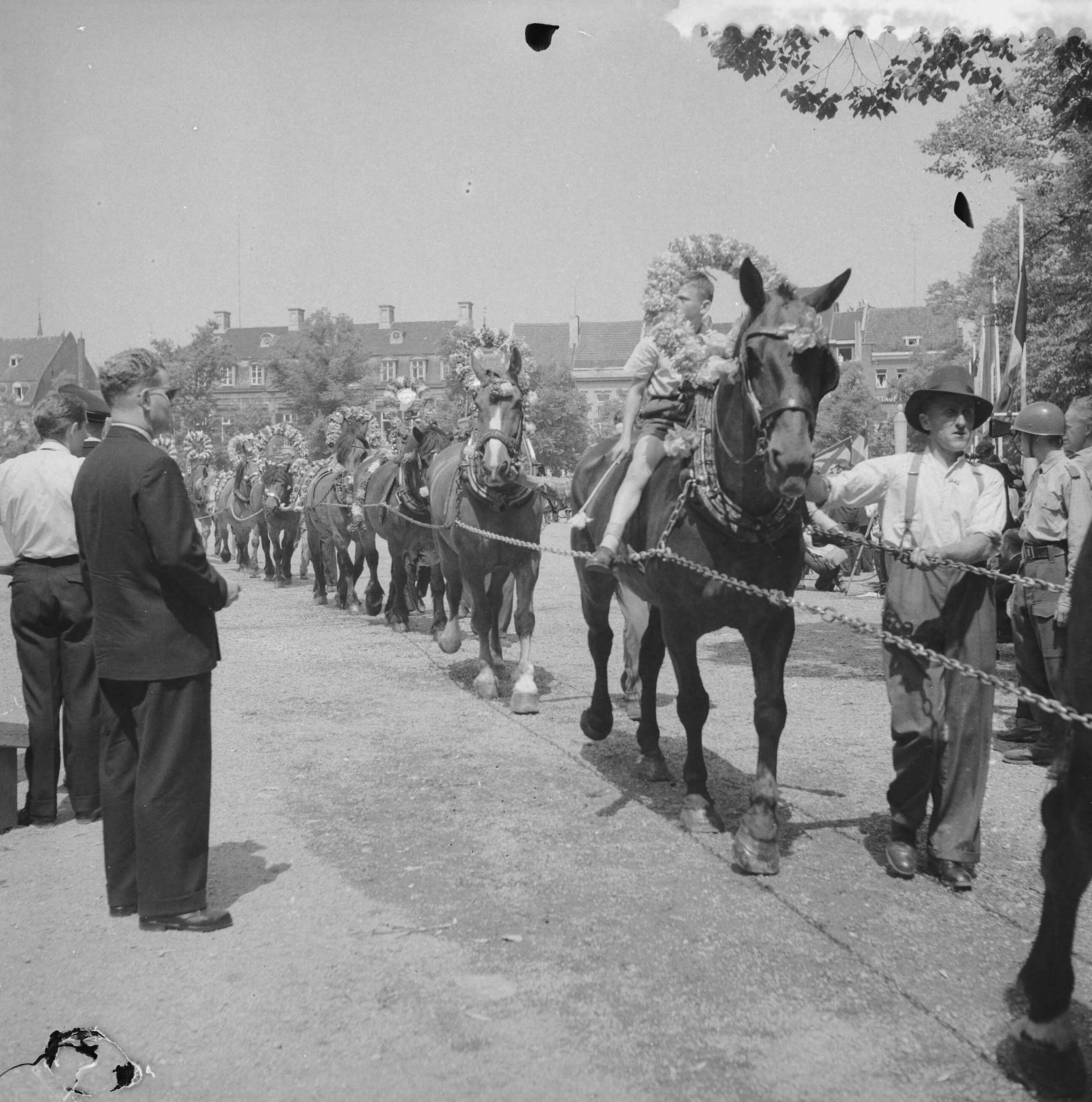 Staatsbezoek koning Boudewijn 1959 — Vierde dag van het bezoek van koning Boudewijn. Huldiging op het Vrijthof door de Maaslanden — Foto: Noske, J.D. / Anefo. Licentie: Set B: Rechtenvrij / Publiek Domein. Bron: Nationaal Archief. http://hdl.handle.net/10648/a998cab8-d0b4-102d-bcf8-003048976d84