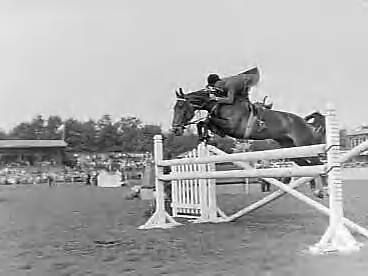 Fotocollectie Anefo — Concours hippique in Groningen — Foto: Bilsen, Joop van / Anefo. Licentie: Set B: Rechtenvrij / Publiek Domein. Bron: Nationaal Archief. http://hdl.handle.net/10648/a9834b3e-d0b4-102d-bcf8-003048976d84