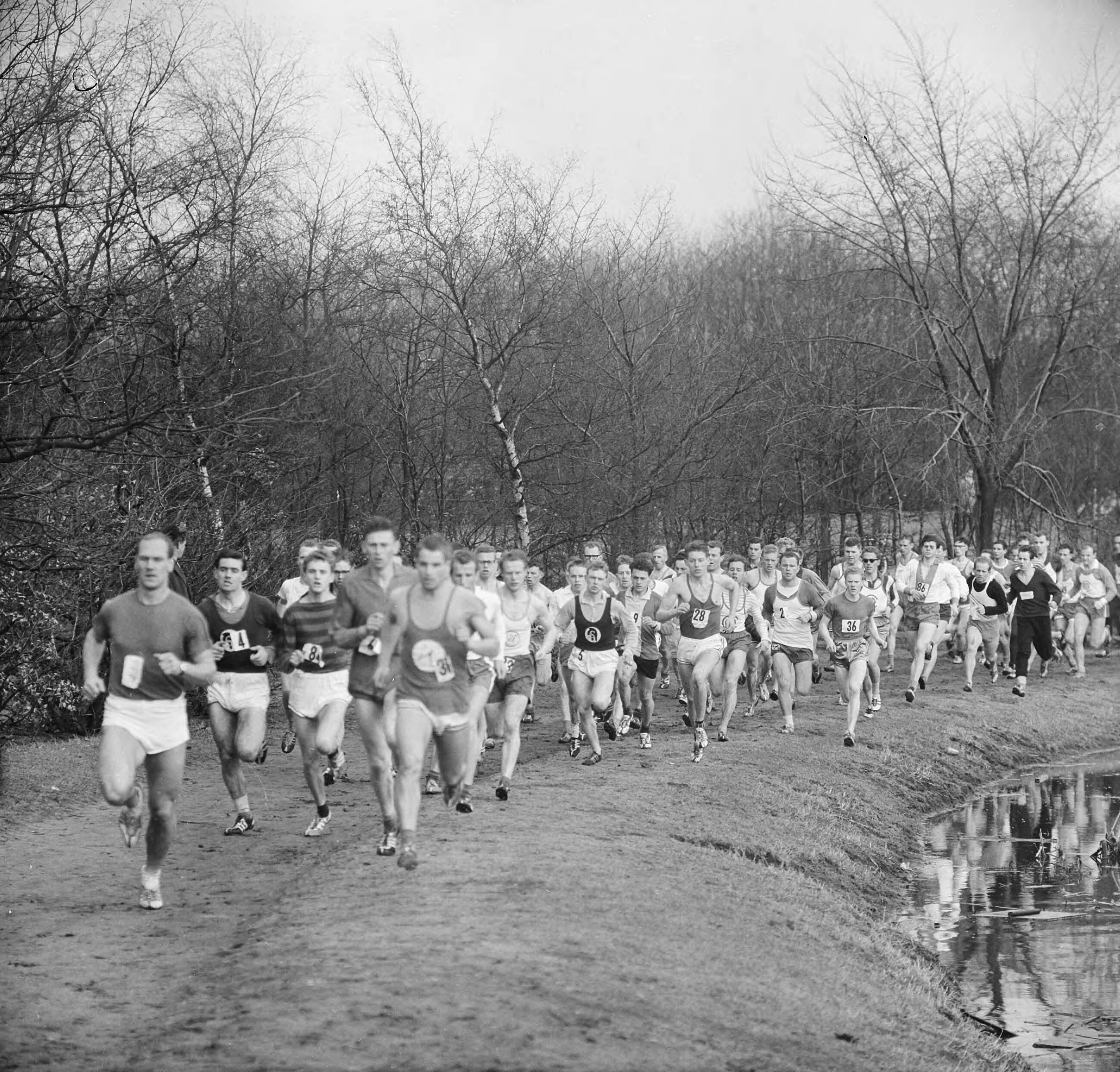 Fotocollectie Anefo — Maple Leaf Bosloop in Hilversum, de lopers vlak na de start — Foto: Nijs, Jac. de / Anefo. Licentie: Set B: Rechtenvrij / Publiek Domein. Bron: Nationaal Archief. http://hdl.handle.net/10648/aa2d32fc-d0b4-102d-bcf8-003048976d84