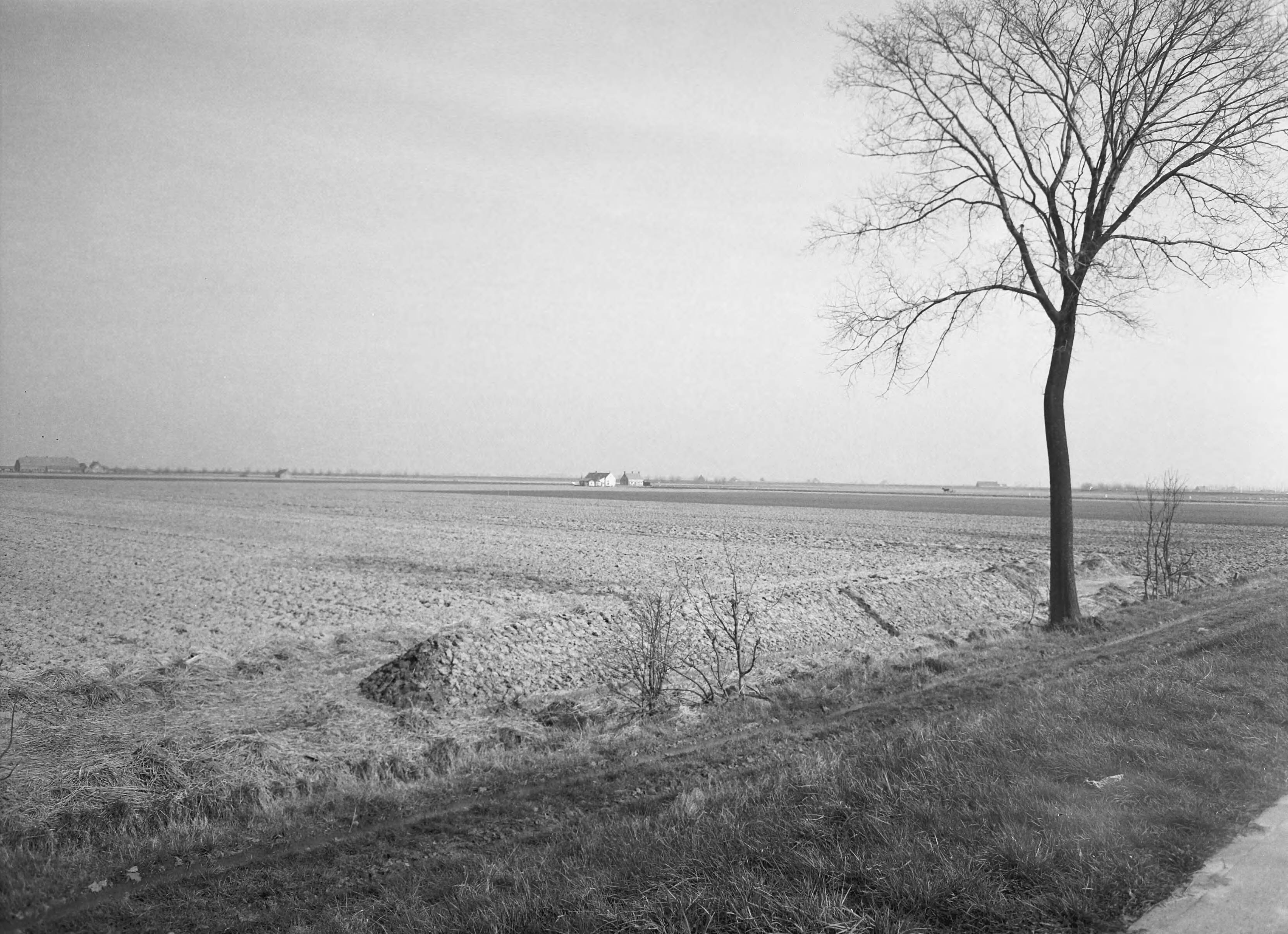 Fotocollectie Nederlandse Heidemaatschappij — Geëgaliseerd terrein onder Arnemuiden (Z.) — Foto: Eyssen, [...] / Heidemij. Licentie: Set B: Rechtenvrij / Publiek Domein. Bron: Nationaal Archief. http://hdl.handle.net/10648/ae5cc914-d0b4-102d-bcf8-003048976d84