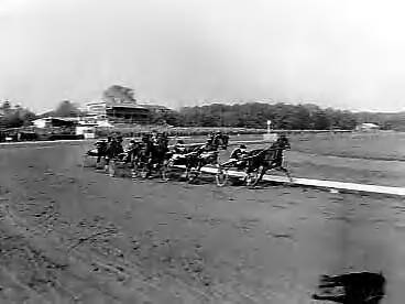 Fotocollectie Anefo — Draverijen Nederland tegen België op Duindigt — Foto: Pot, Harry / Anefo. Licentie: Set B: Rechtenvrij / Publiek Domein. Bron: Nationaal Archief. http://hdl.handle.net/10648/a96c4628-d0b4-102d-bcf8-003048976d84