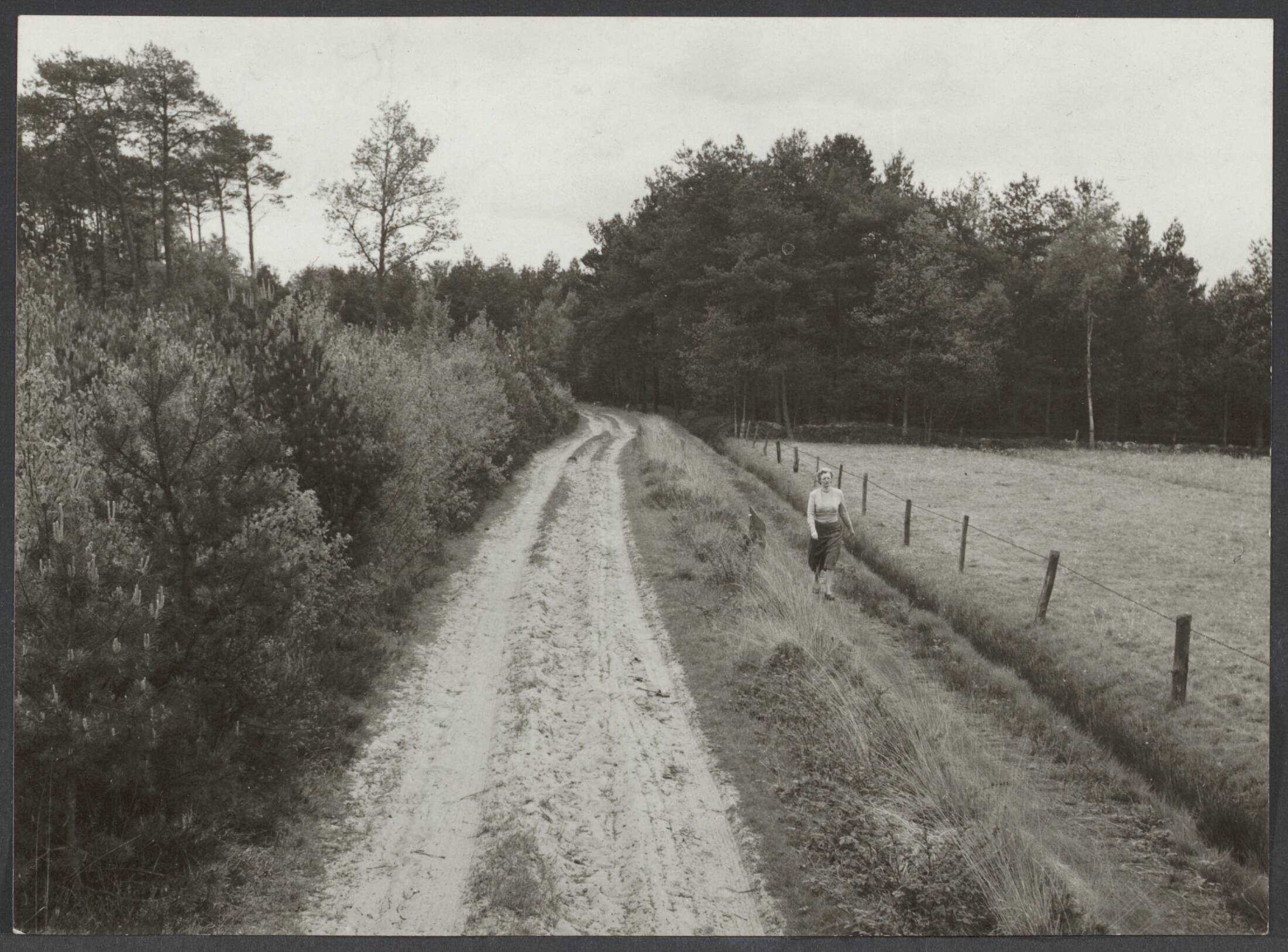 Landschap in Nederland — Wegje tussen Ulvenhout en Chaam (N.B.) — Foto: Eijk, Jan van / Spaarnestad. Licentie: Set B: Rechtenvrij / Publiek Domein. Bron: Nationaal Archief. http://hdl.handle.net/10648/5eedccdc-2cf4-066c-e853-b533a5752365