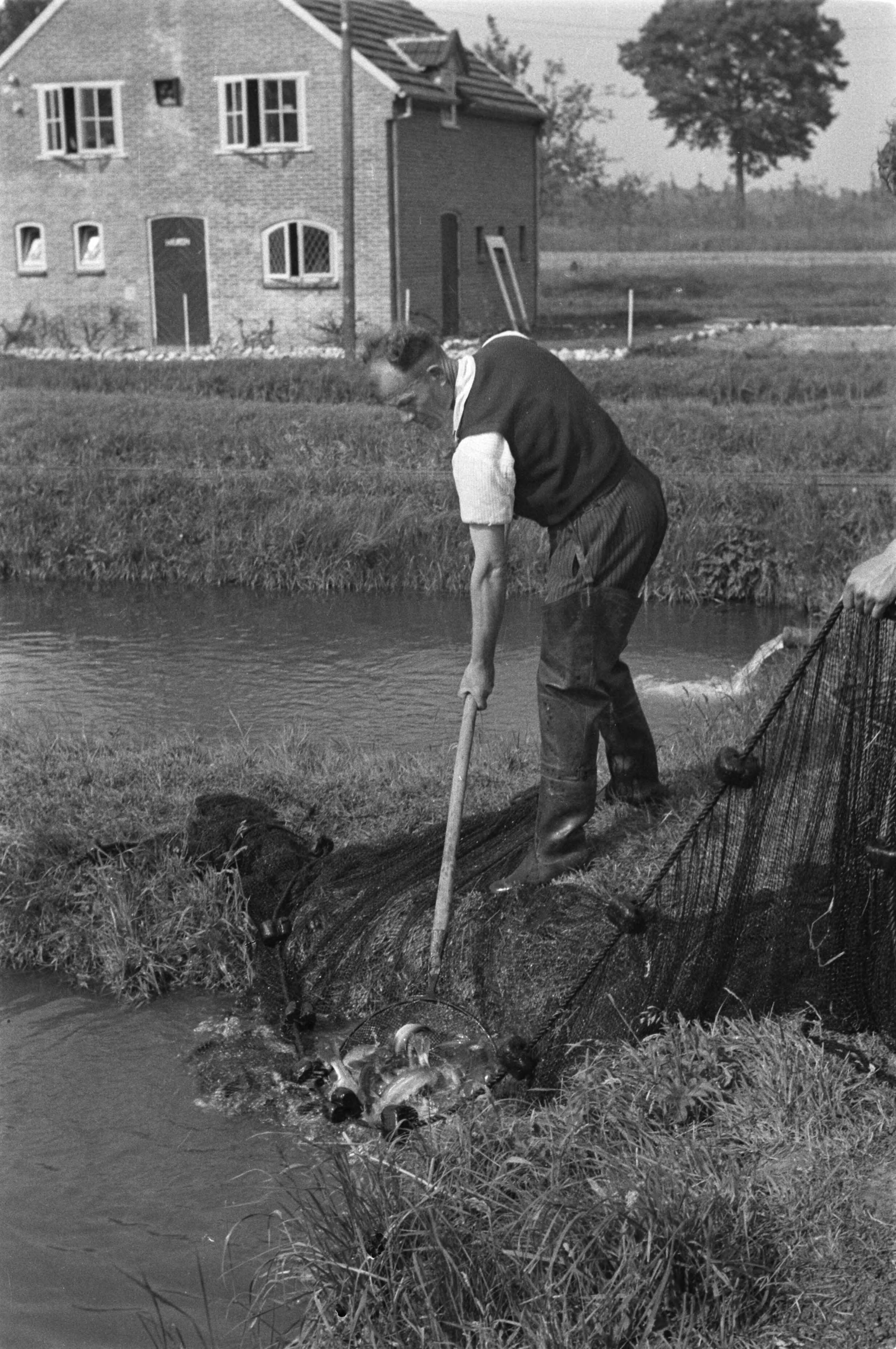 Fotocollectie Nederlandse Heidemaatschappij — Gulpen|visserij |viskwekerijen |forellenvijvers |forellenzegen — Foto: Fotograaf Onbekend / Heidemij. Licentie: Set B: Rechtenvrij / Publiek Domein. Bron: Nationaal Archief. http://hdl.handle.net/10648/ae89eed0-d0b4-102d-bcf8-003048976d84