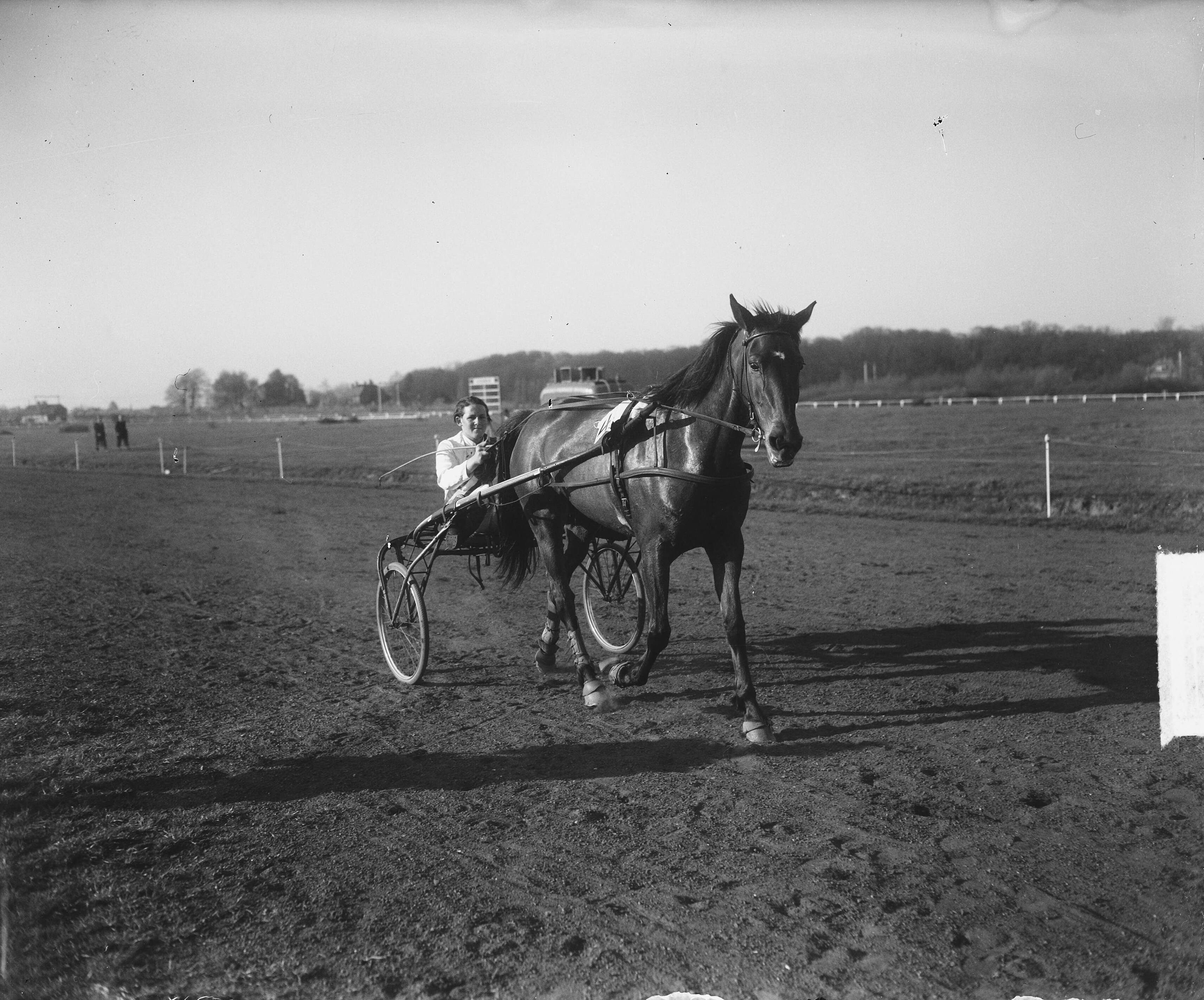 Fotocollectie Anefo — Draverijen op Mereveld (Utrecht) Winnaar ATO-prijs 2060 m — Foto: Merk, Ben / Anefo. Licentie: Set B: Rechtenvrij / Publiek Domein. Bron: Nationaal Archief. http://hdl.handle.net/10648/a8c60d44-d0b4-102d-bcf8-003048976d84