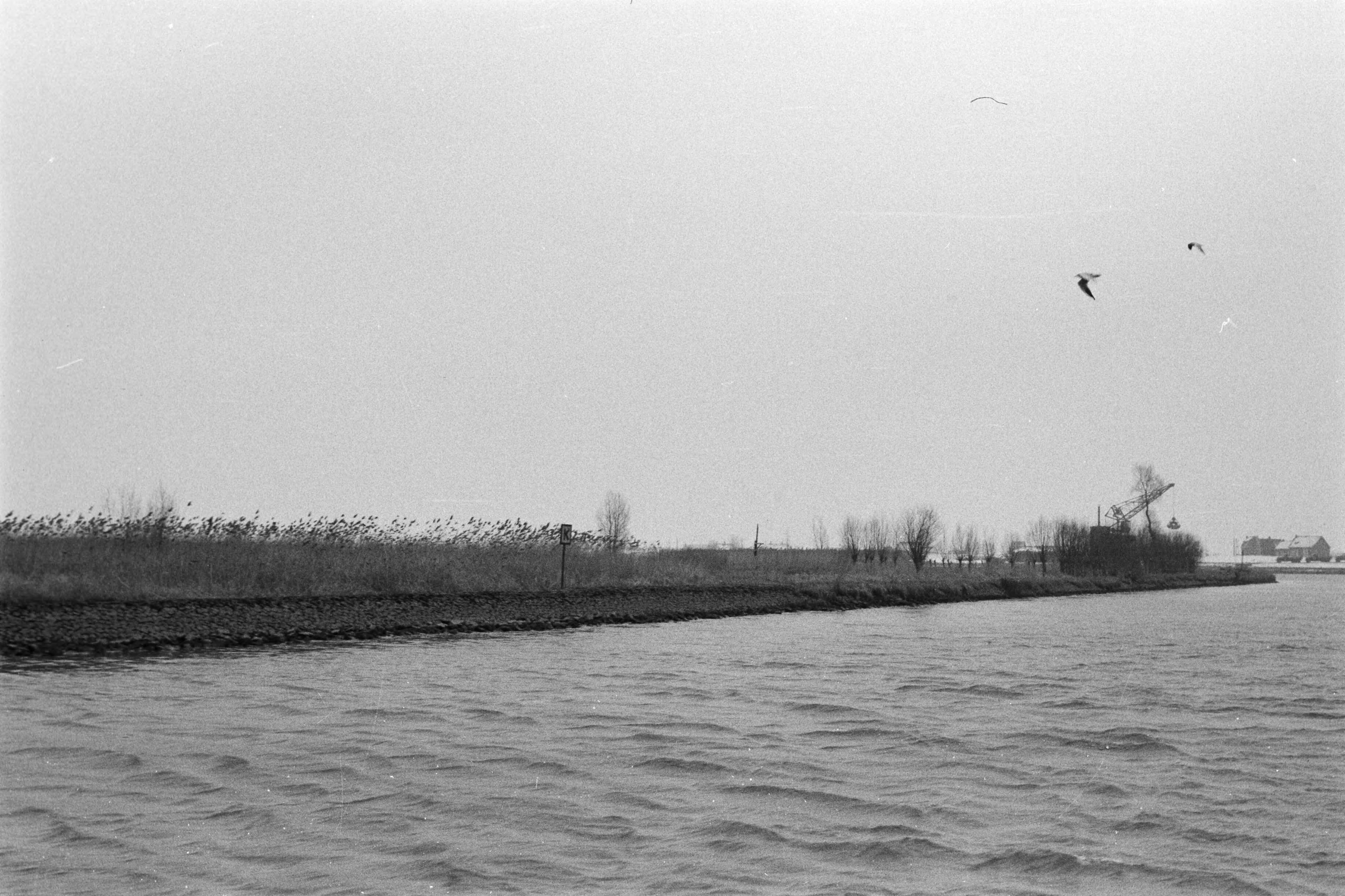 Privé-opnamen (Heidemij) — Zicht op een rivier of kanaal — Foto: Fotograaf Onbekend / Heidemij. Licentie: Set B: Rechtenvrij / Publiek Domein. Bron: Nationaal Archief. http://hdl.handle.net/10648/ae97a066-d0b4-102d-bcf8-003048976d84