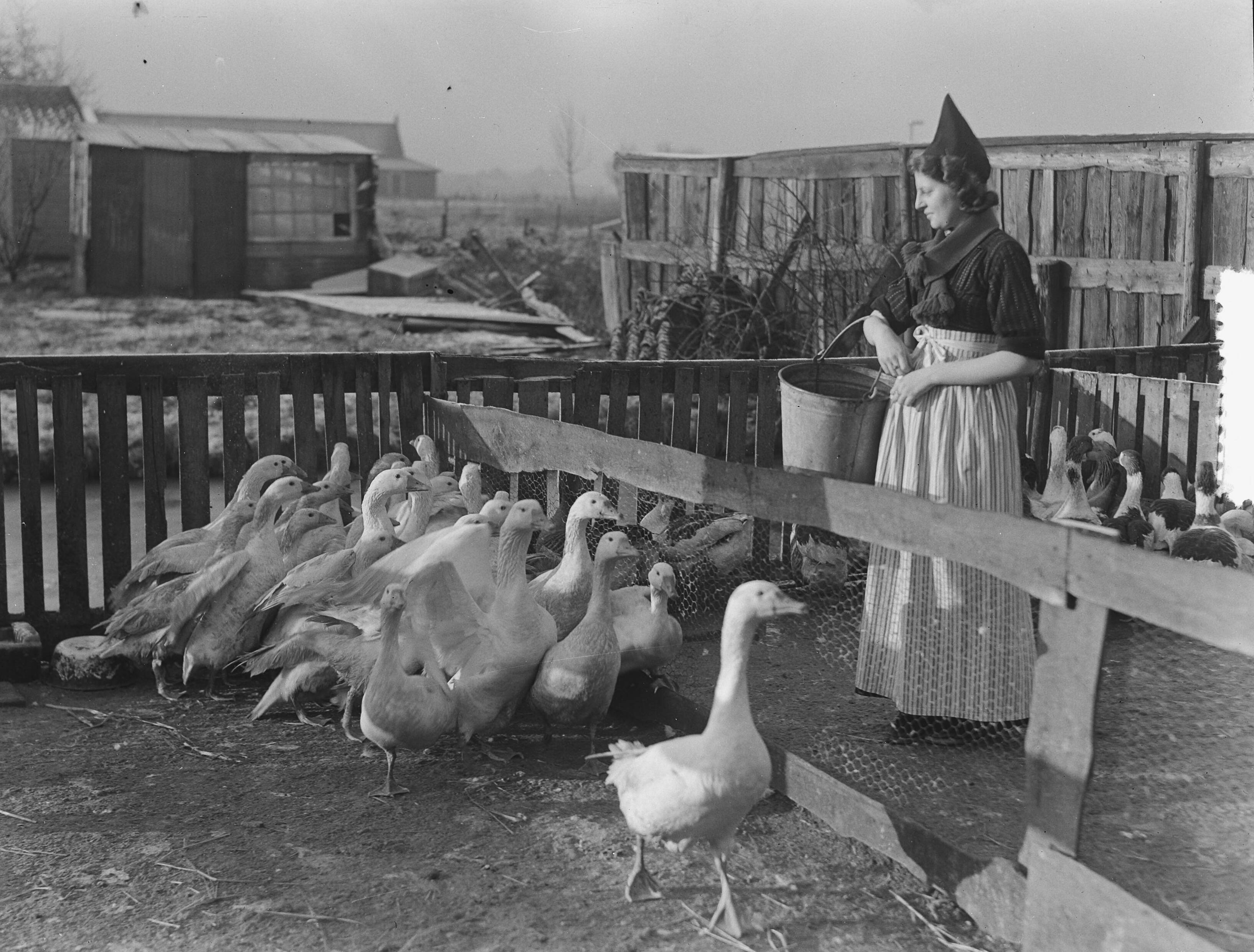 IJzelfeest op straten in Volendam — Foto: Duinen, G.W. van / Anefo. — Licentie: Set B: Rechtenvrij / Publiek Domein. Bron: Nationaal Archief. http://hdl.handle.net/10648/a8f2fd90-d0b4-102d-bcf8-003048976d84