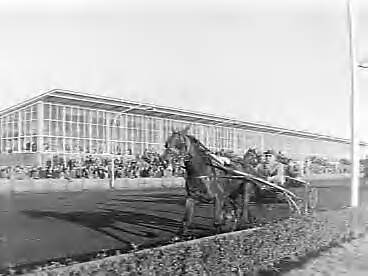 Fotocollectie Anefo — Draverijen in het sportpark te Hilversum — Foto: Bilsen, Joop van / Anefo. Licentie: Set B: Rechtenvrij / Publiek Domein. Bron: Nationaal Archief. http://hdl.handle.net/10648/a970c90a-d0b4-102d-bcf8-003048976d84