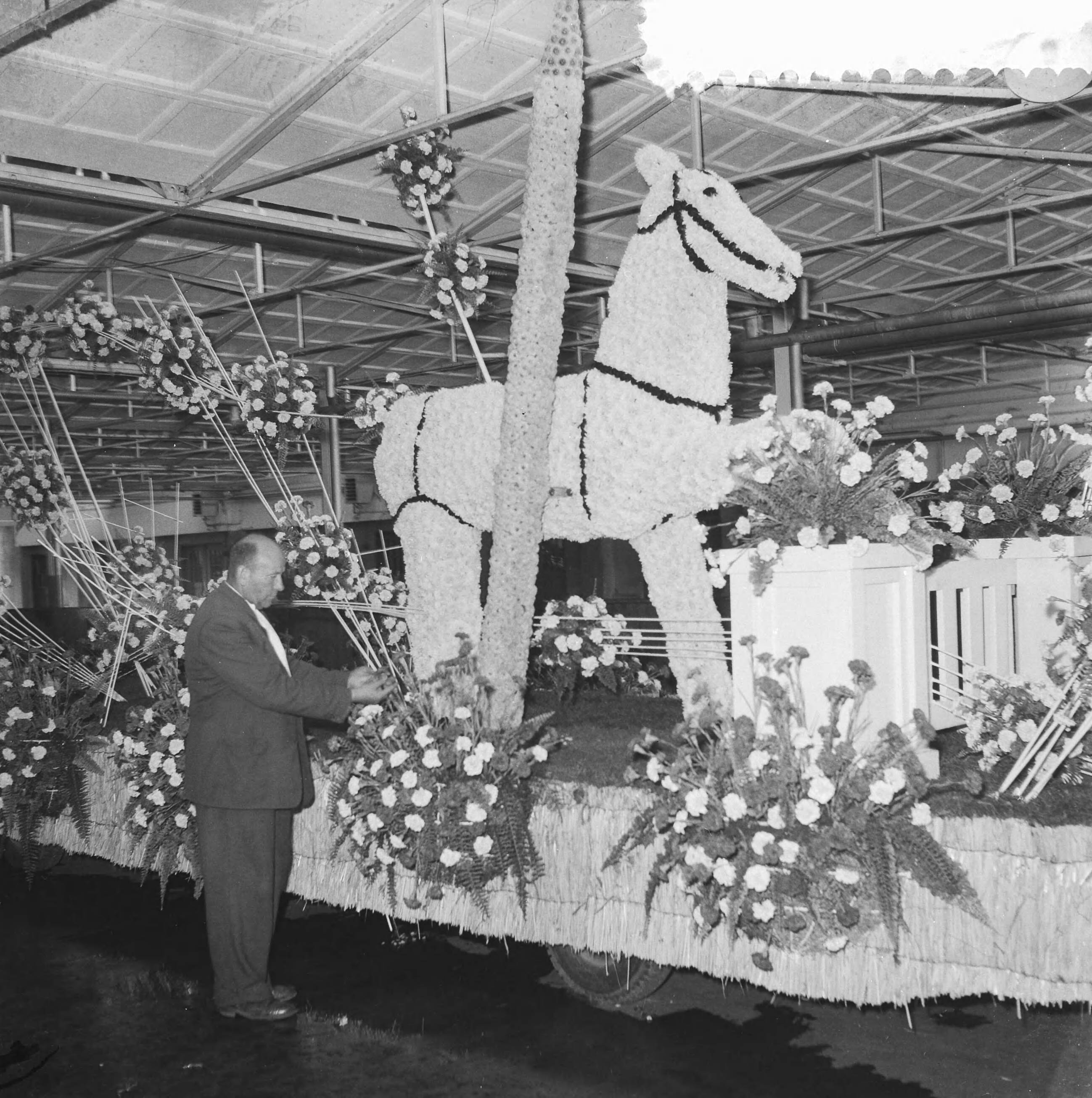 Fotocollectie Anefo — Voorbereidingen voor het bloemencorso, praalwagen "Toontje heeft een paard getekend" — Foto: Noske, J.D. / Anefo. Licentie: Set B: Rechtenvrij / Publiek Domein. Bron: Nationaal Archief. http://hdl.handle.net/10648/a99cadc2-d0b4-102d-bcf8-003048976d84