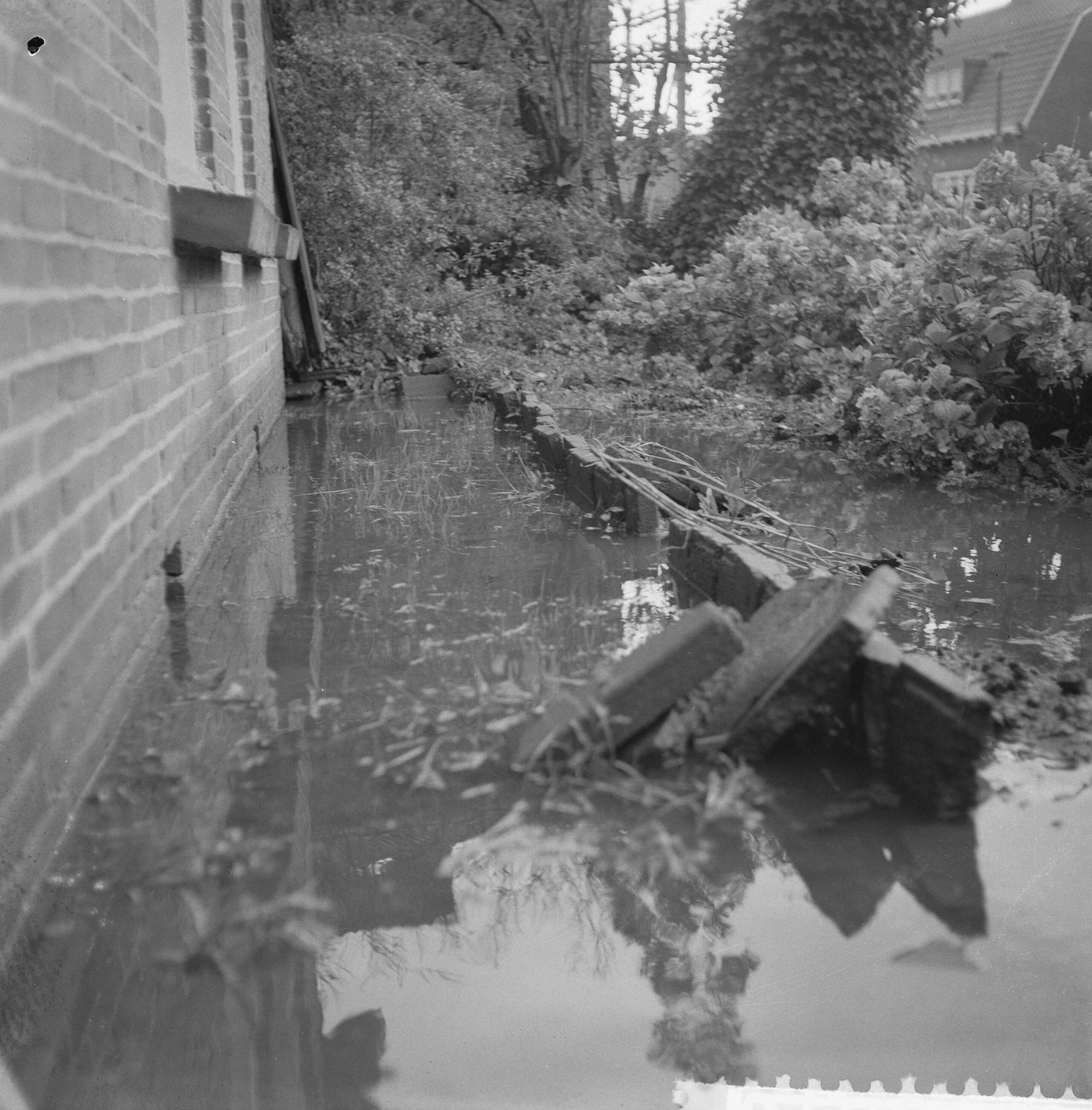 Fotocollectie Anefo — Wateroverlast in Tuindorp Oostzaan, Kometensingel, ondergelopen tuin van T. Schaft — Foto: Lindeboom, Henk / Anefo. Licentie: Set B: Rechtenvrij / Publiek Domein. Bron: Nationaal Archief. http://hdl.handle.net/10648/a9bb8ee0-d0b4-102d-bcf8-003048976d84