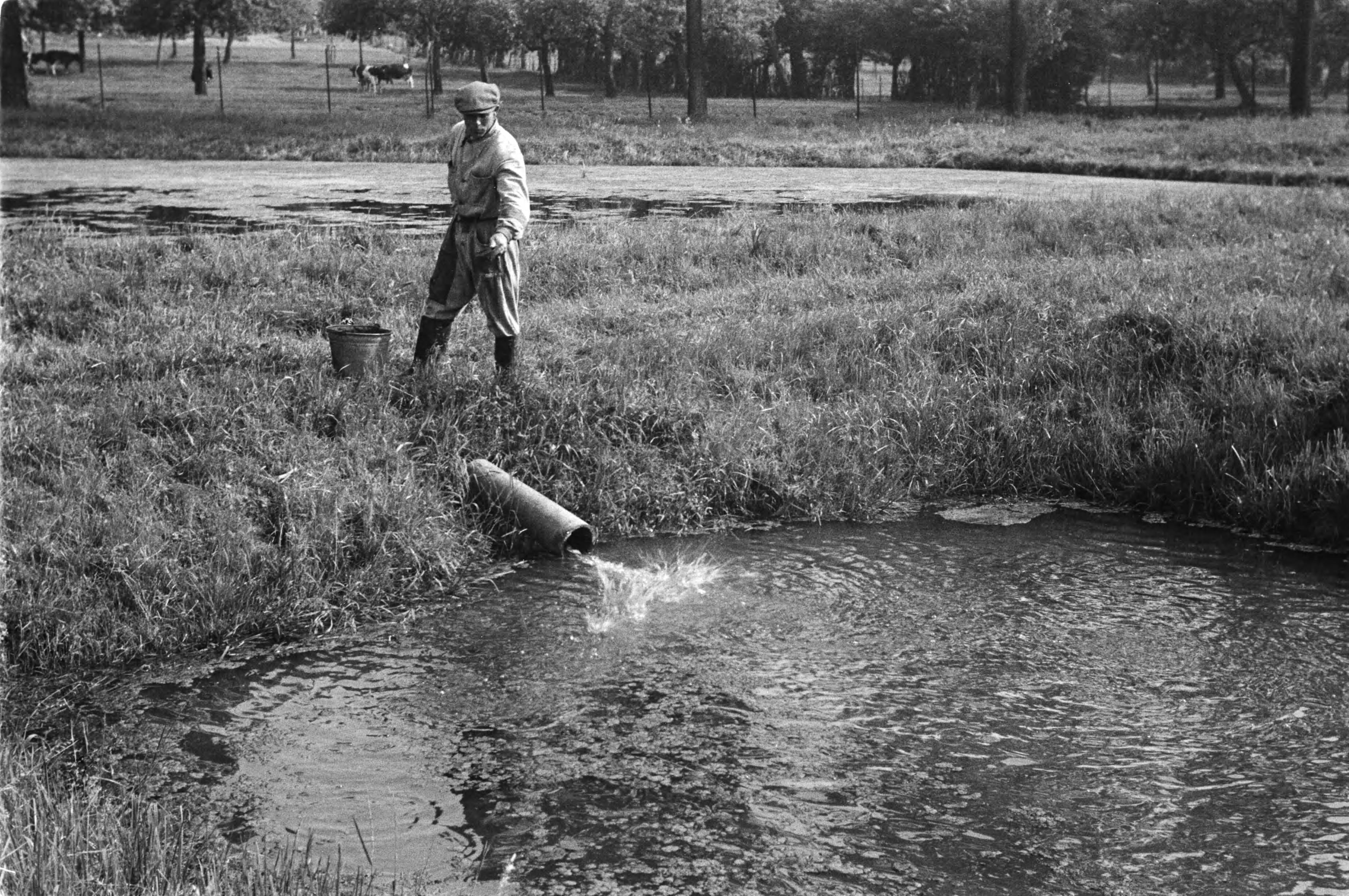 Fotocollectie Nederlandse Heidemaatschappij — Gulpen|visserij |viskwekerijen |voederingen |forellen |mannen — Foto: Fotograaf Onbekend / Heidemij. Licentie: Set B: Rechtenvrij / Publiek Domein. Bron: Nationaal Archief. http://hdl.handle.net/10648/ae89e7c8-d0b4-102d-bcf8-003048976d84