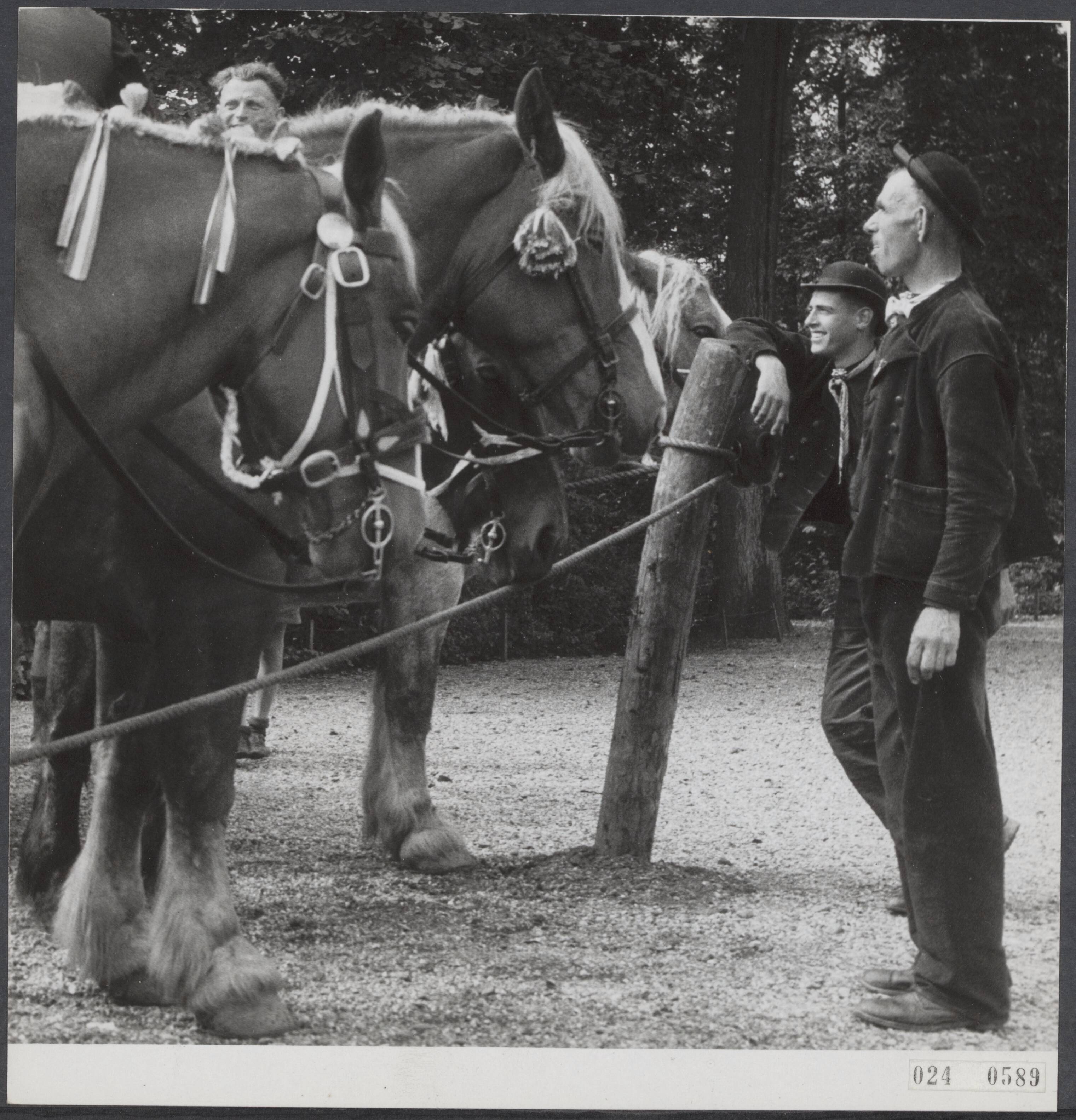 Fotocollectie Elsevier Binnenland — Ringsteken Middelburg.[paarden en berijders] — Foto: Noske, J.D. / Anefo. Licentie: Set B: Rechtenvrij / Publiek Domein. Bron: Nationaal Archief. http://hdl.handle.net/10648/add7e50a-d0b4-102d-bcf8-003048976d84