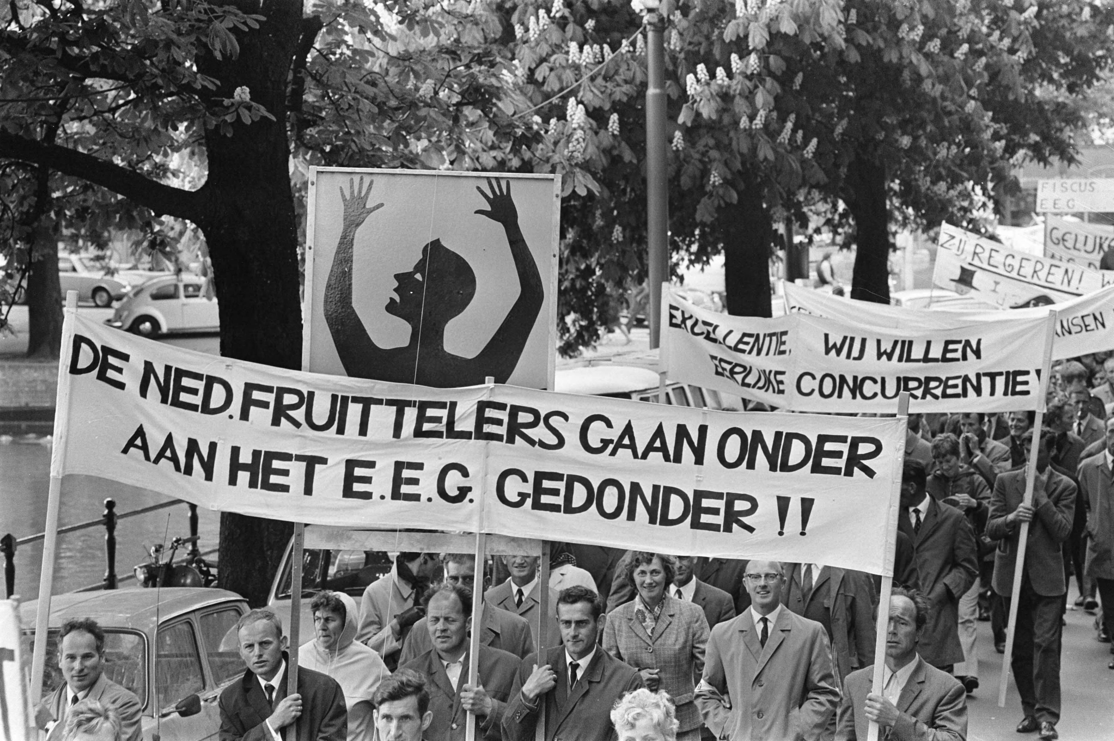 Fotocollectie Anefo — Fruittelers demonstreren met borden in Den Haag ; demonstranten onderweg naar Ministerie van Landbouw — Foto: Evers, Joost / Anefo. Licentie: Set B: Rechtenvrij / Publiek Domein. Bron: Nationaal Archief. http://hdl.handle.net/10648/ab9807fc-d0b4-102d-bcf8-003048976d84