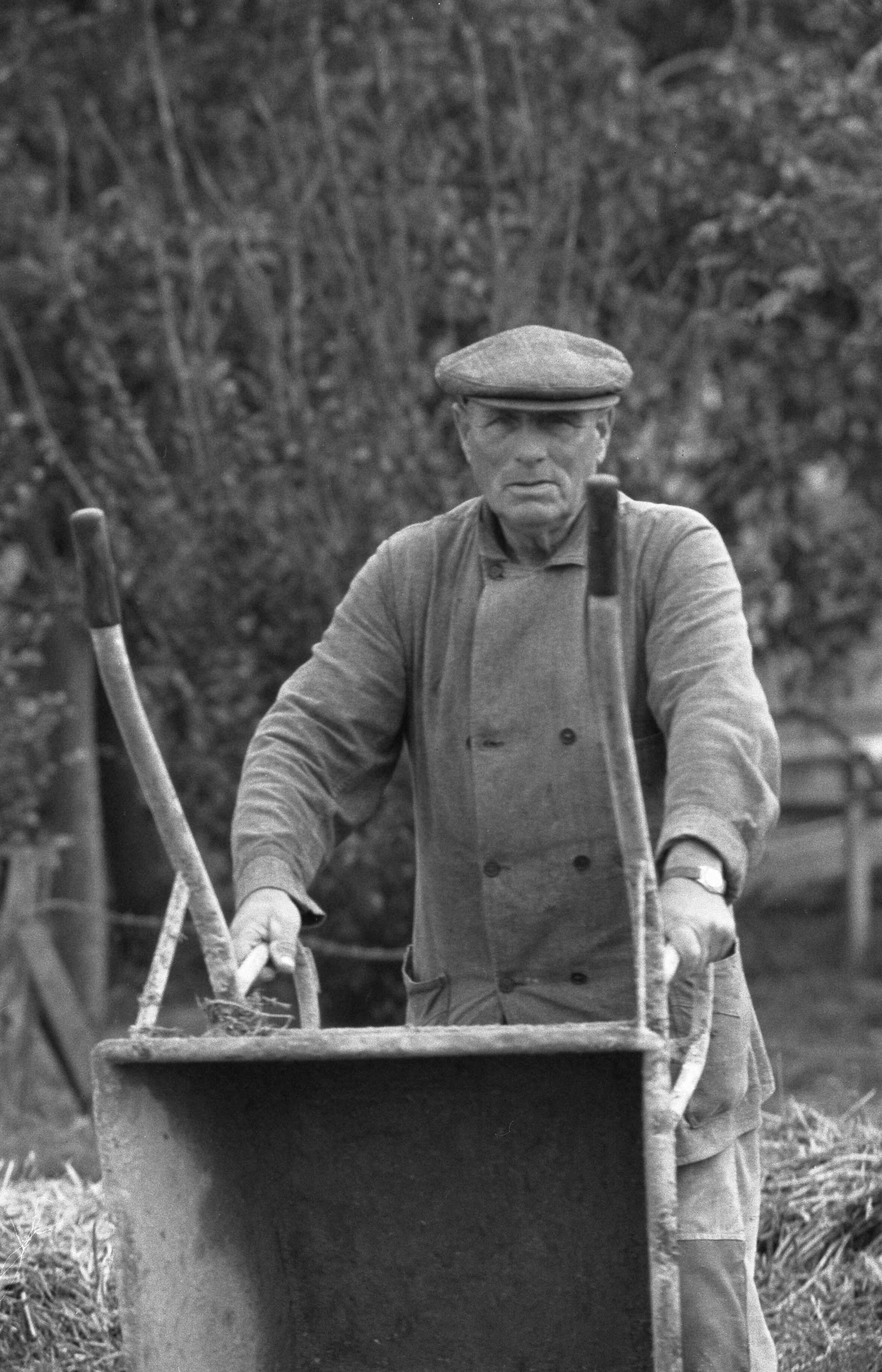 Fotocollectie Anefo — Gat te Wormer — Foto: Rossem, Wim van / Anefo. Licentie: Set B: Rechtenvrij / Publiek Domein. Bron: Nationaal Archief. http://hdl.handle.net/10648/a99fb1f2-d0b4-102d-bcf8-003048976d84