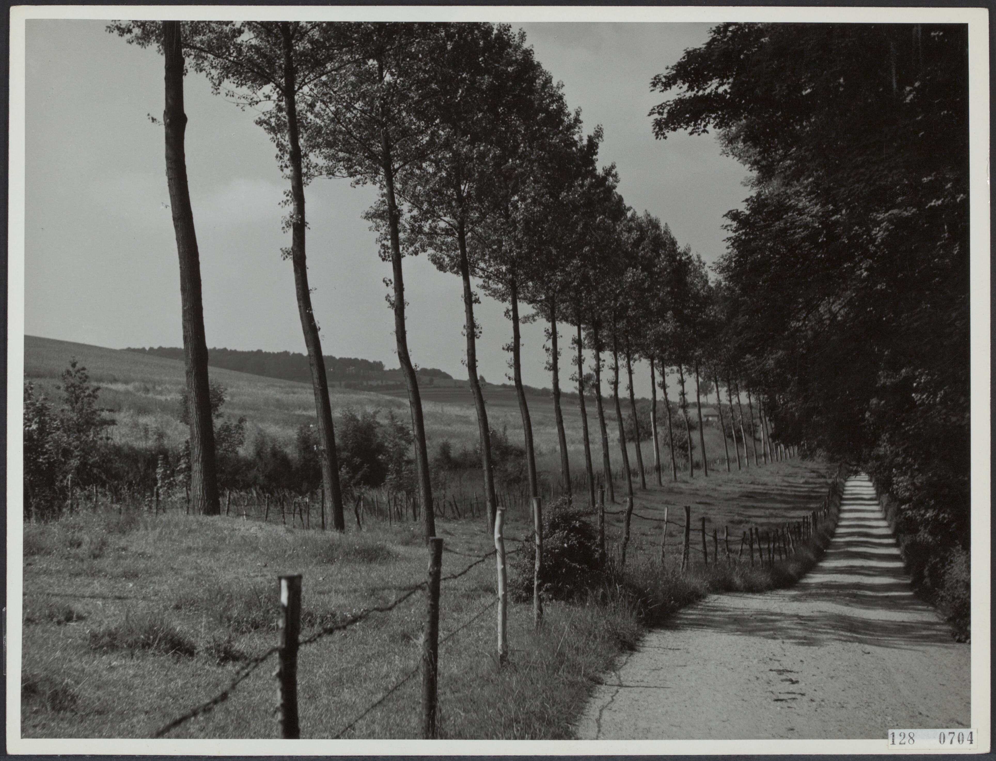 Landschappen, provincies [RVD] — Landschap in Zuid-Limburg nabij Gulpen — Foto: Last, A.P.H.. Licentie: Set B: Rechtenvrij / Publiek Domein. Bron: Nationaal Archief. http://hdl.handle.net/10648/af4390ec-d0b4-102d-bcf8-003048976d84