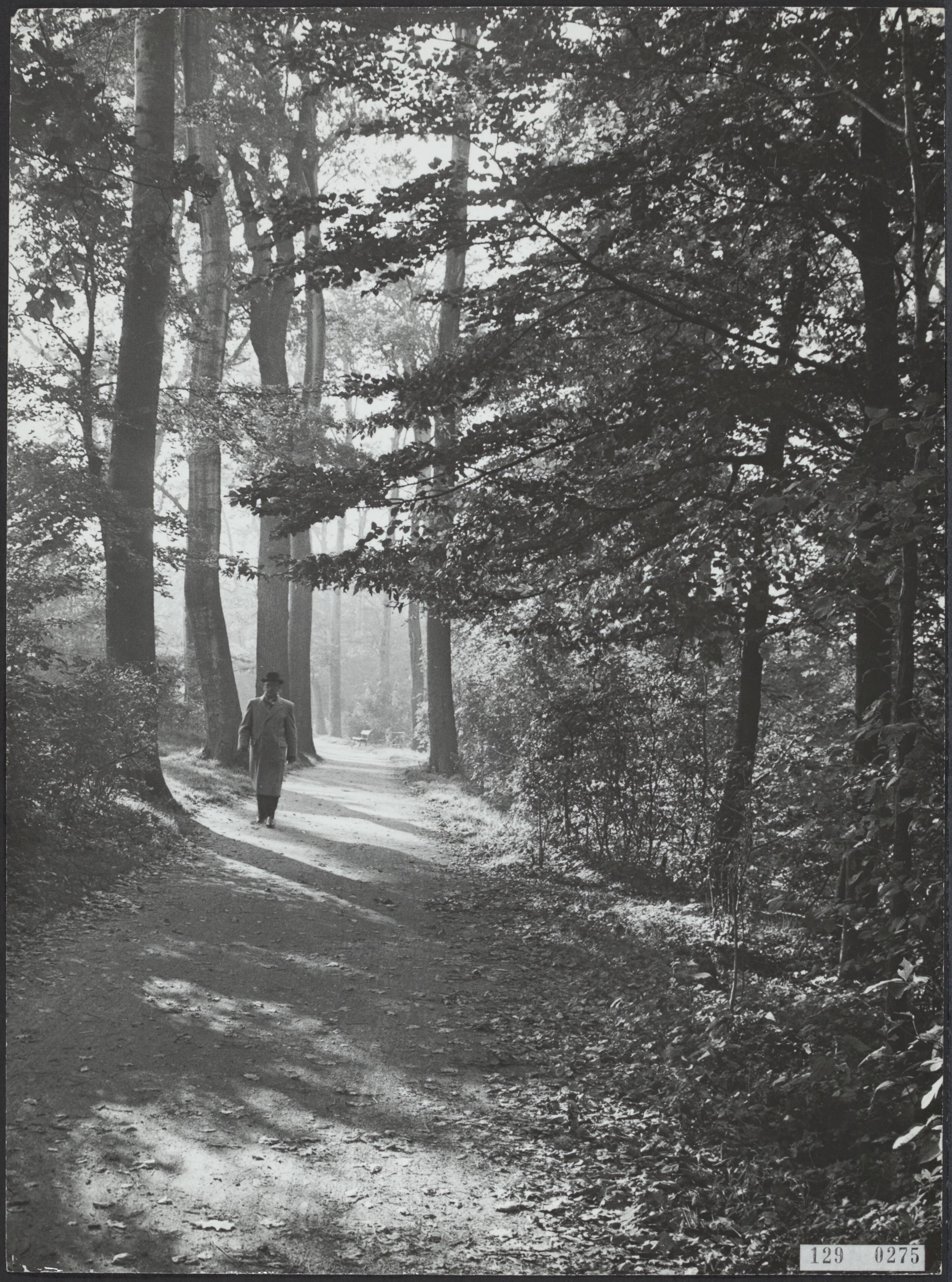 Steden [RVD] — Haagse Bos, 's-Gravenhage — Foto: Fotodienst Gemeente Den Haag. Licentie: Set B: Rechtenvrij / Publiek Domein. Bron: Nationaal Archief. http://hdl.handle.net/10648/af46011a-d0b4-102d-bcf8-003048976d84