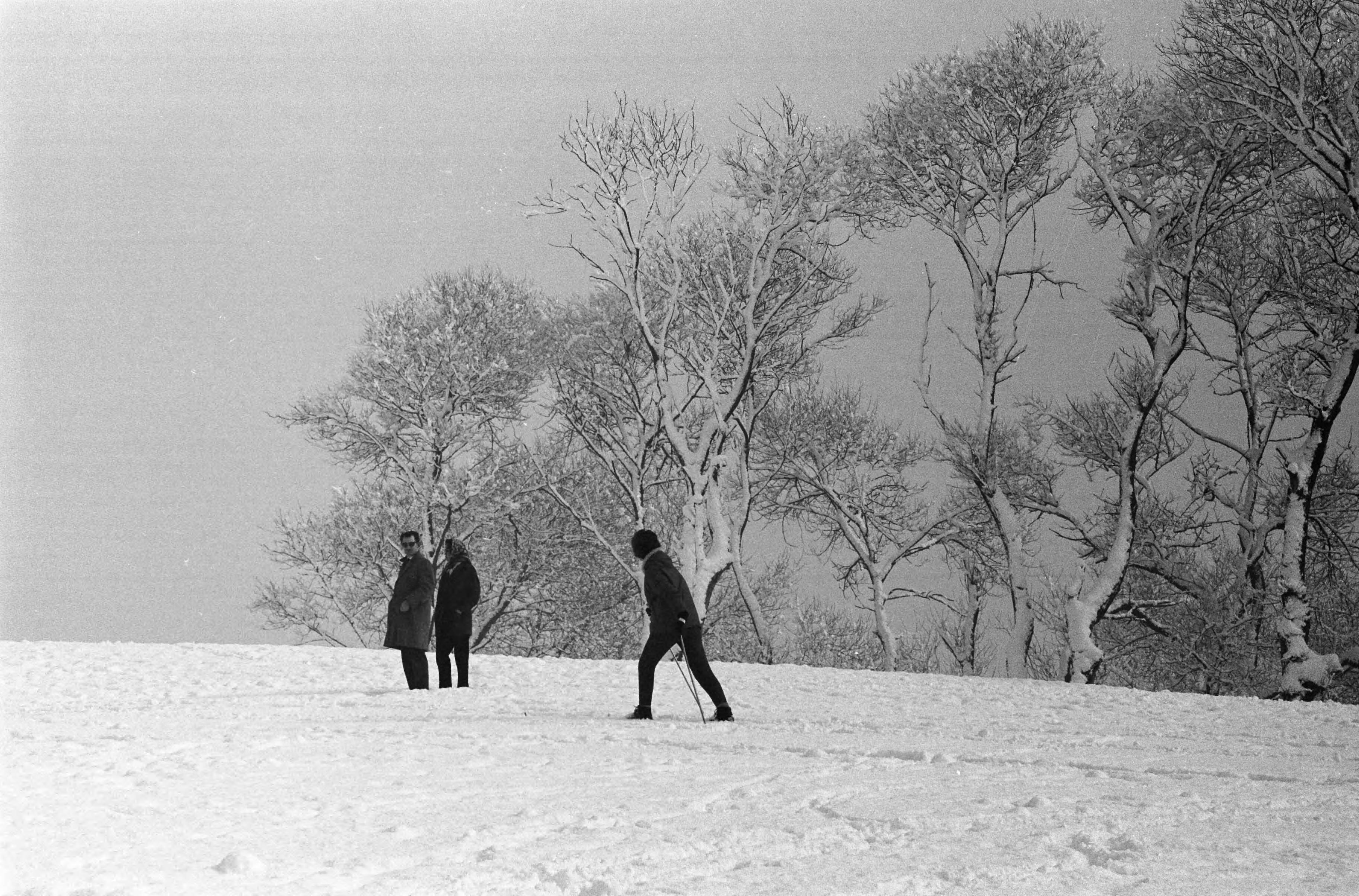 Fotocollectie Anefo — Wintersport op de Blinkert in Overveen — Foto: Pot, Harry / Anefo. Licentie: Set B: Rechtenvrij / Publiek Domein. Bron: Nationaal Archief. http://hdl.handle.net/10648/a9fb5ae8-d0b4-102d-bcf8-003048976d84