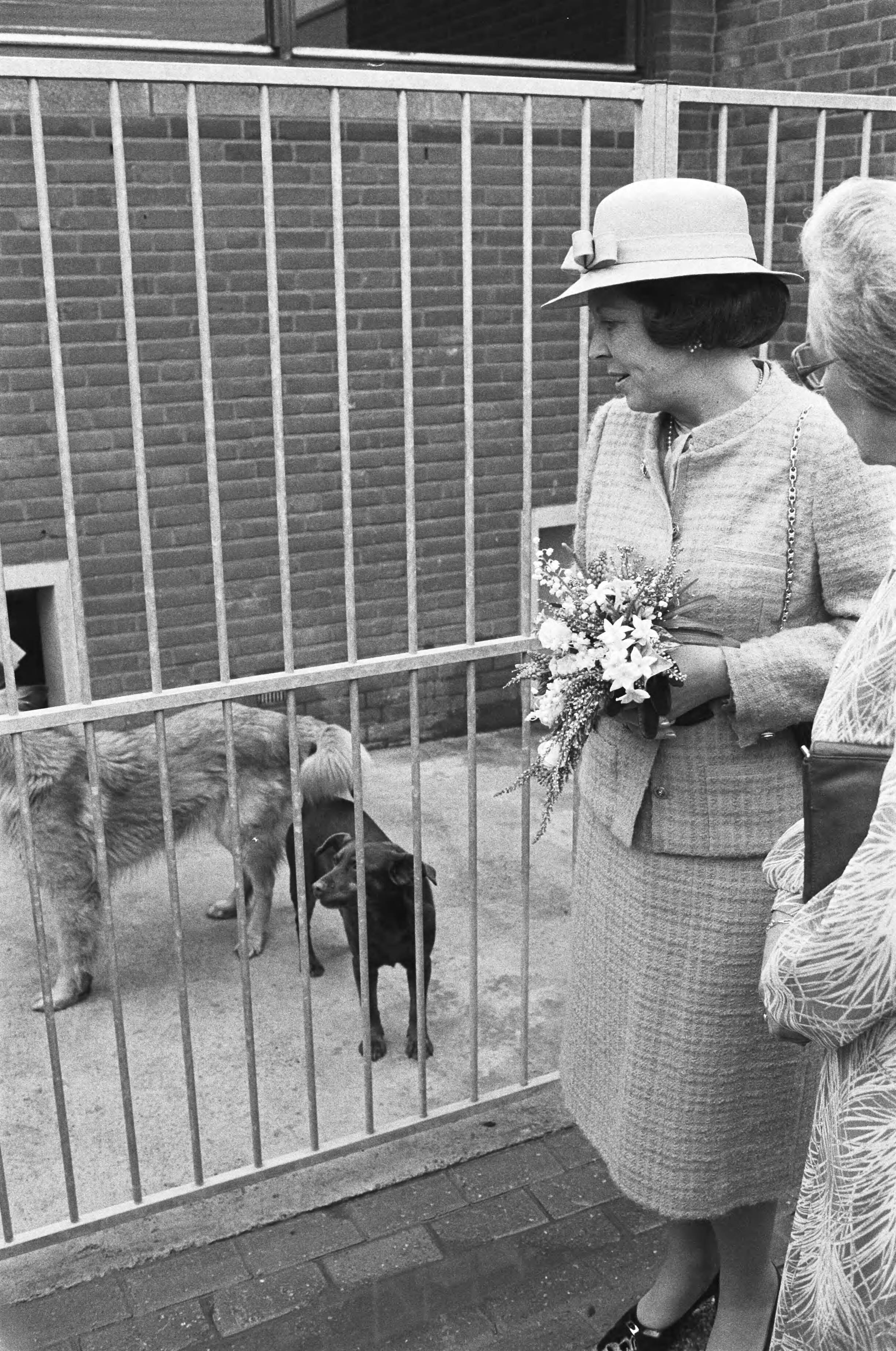Fotocollectie Anefo — Beatrix opent het Haagse Dierencentrum in Den Haag . Beatrix tijdens de rondgang door de kennels, (r.) A. C.W. Vervoorn Malinosky Blom — Foto: Antonisse, Marcel / Anefo. Licentie: Set B: Rechtenvrij / Publiek Domein. Bron: Nationaal Archief. http://hdl.handle.net/10648/ad136a36-d0b4-102d-bcf8-003048976d84