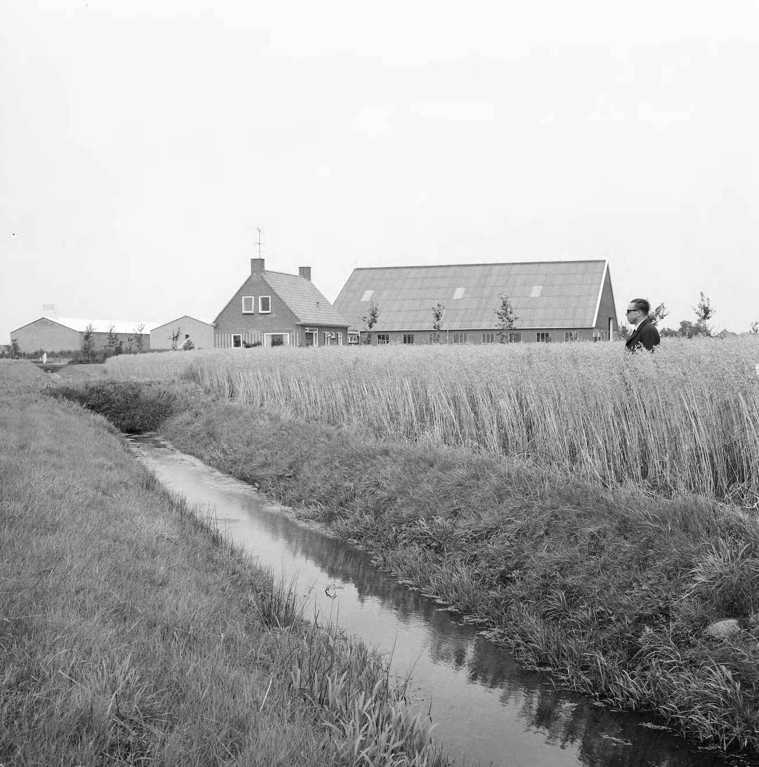 Fotocollectie Nederlandse Heidemaatschappij — Bedrijfsgebouw en woonhuis (nieuwe boerderij) in ruilverkaveling Veendam-Wildervank. Bewoner H.R. Panman, J. Kokweg te Veendam. Havergewas op voorgrond (voorjaar/zomer 1966) waar op zelfde perceel in 1965 aardappelgewas op gediepploegde gronden (1964) totaal was verongelukt. Op voorgrond technisch ambtenaar J.H.W. Kruisselbrink — Foto: Wüllschleger, [...] / Heidemij. Licentie: Set B: Rechtenvrij / Publiek Domein. Bron: Nationaal Archief. http://hdl.handle.net/10648/ae77fa54-d0b4-102d-bcf8-003048976d84