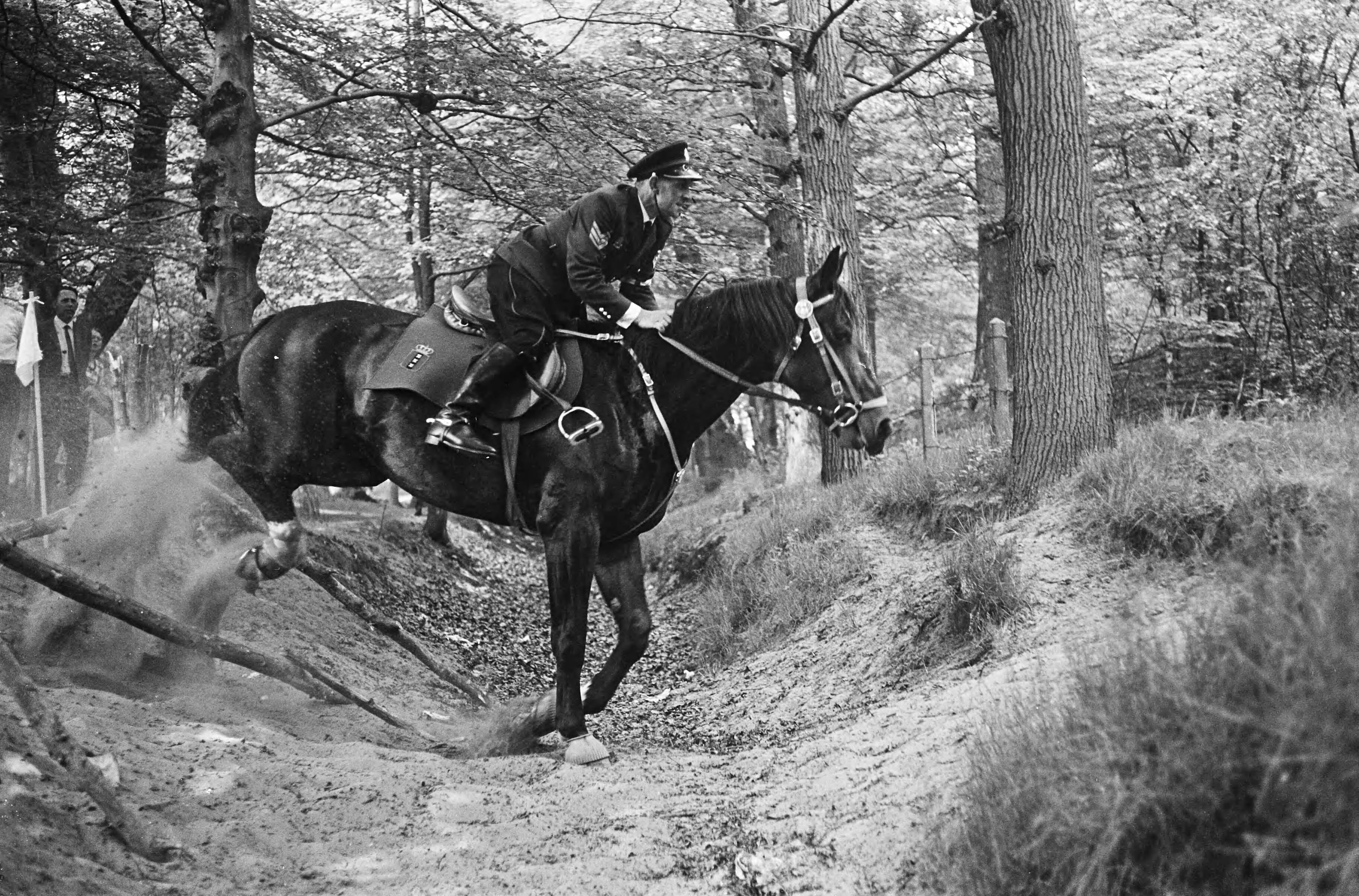Fotocollectie Anefo — 50 jaar bestaan bereden brigade Haagse politie deelnemers tijdens nemen hindernis tijdens cross country op Duinzigt Den Haag — Foto: Pot, Harry / Anefo. Licentie: Set B: Rechtenvrij / Publiek Domein. Bron: Nationaal Archief. http://hdl.handle.net/10648/aa6b1bc6-d0b4-102d-bcf8-003048976d84