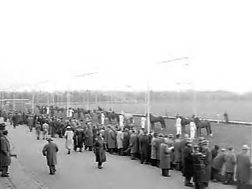 Fotocollectie Anefo — Jaarlijkse hengstenkeuringen en jaarlingenshow in het sportpark te Hilversum — Foto: Bilsen, Joop van / Anefo. Licentie: Set B: Rechtenvrij / Publiek Domein. Bron: Nationaal Archief. http://hdl.handle.net/10648/a96f1e2a-d0b4-102d-bcf8-003048976d84