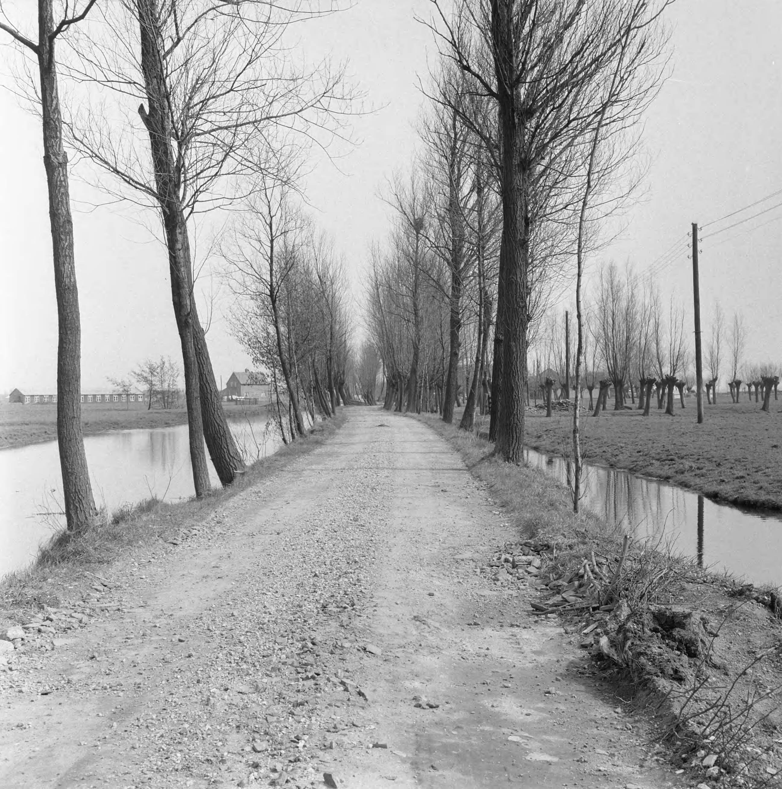 Fotocollectie Nederlandse Heidemaatschappij — Reyerkopperbuurtweg in de gem. Harmelen — Foto: Wüllschleger, [...] / Heidemij. Licentie: Set B: Rechtenvrij / Publiek Domein. Bron: Nationaal Archief. http://hdl.handle.net/10648/ae714c04-d0b4-102d-bcf8-003048976d84