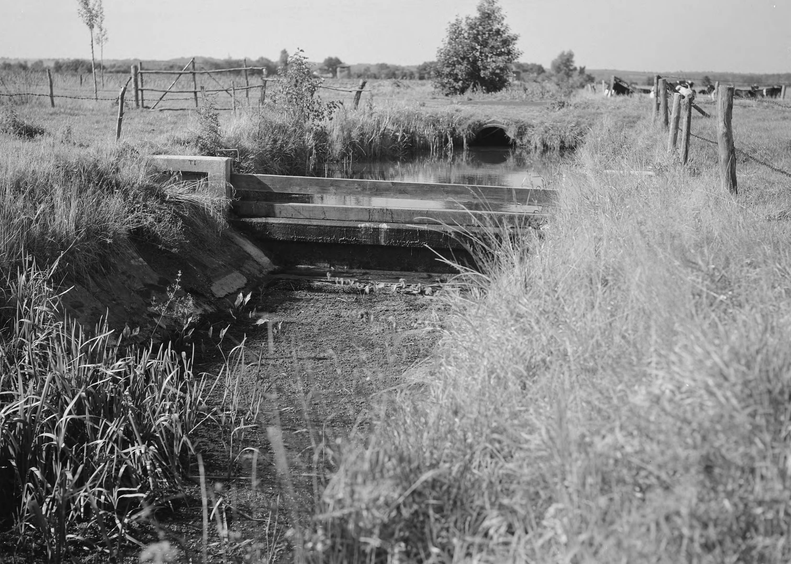 Fotocollectie Nederlandse Heidemaatschappij — Stuwtje in de ruiverkaveling Hedel-Ammerzoden. Regelbare stuw met schotbalk — Foto: Fotograaf Onbekend / Heidemij. Licentie: Set B: Rechtenvrij / Publiek Domein. Bron: Nationaal Archief. http://hdl.handle.net/10648/ae737920-d0b4-102d-bcf8-003048976d84