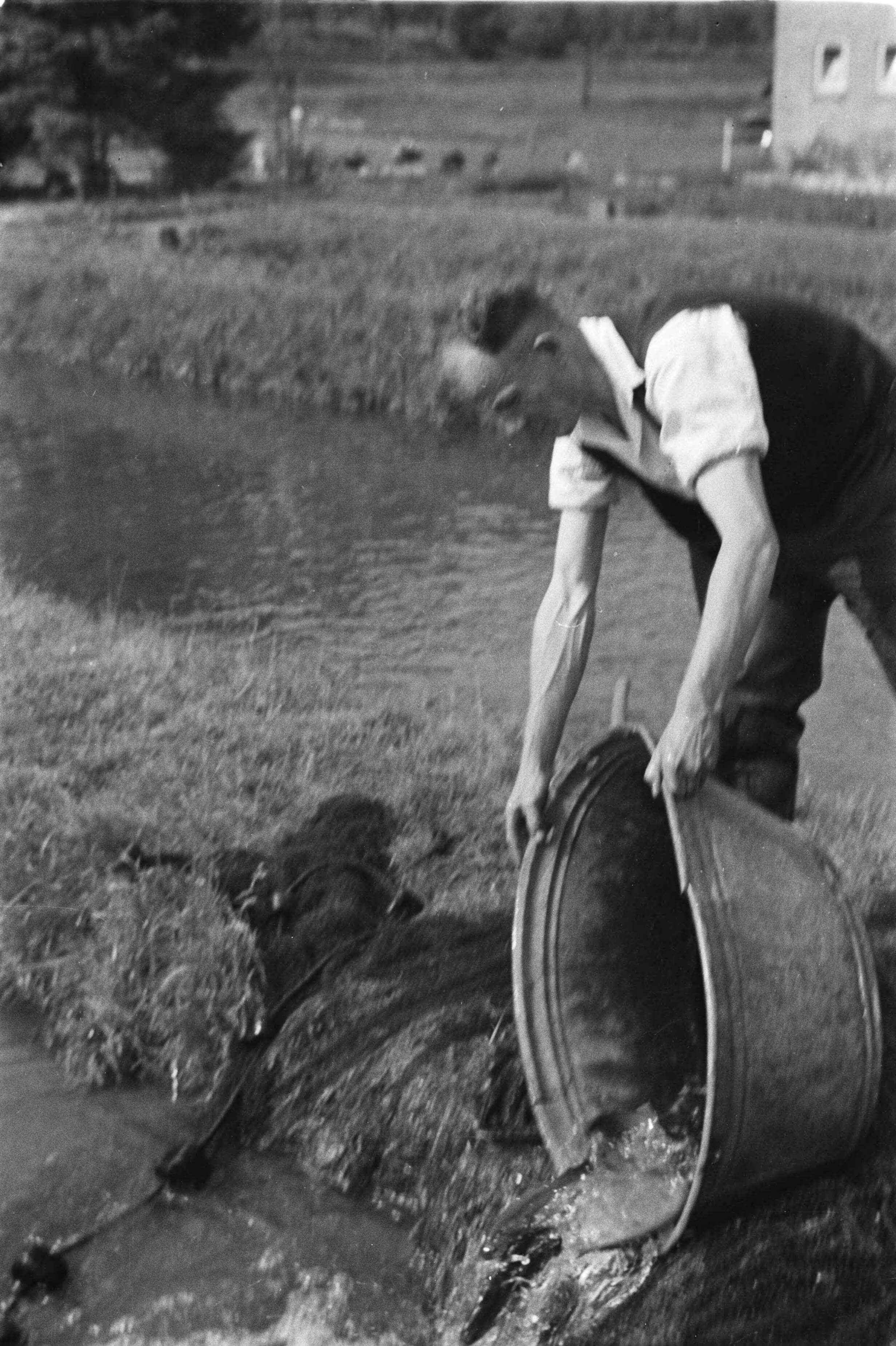 Fotocollectie Nederlandse Heidemaatschappij — Gulpen|visserij |viskwekerijen |forellenvijvers — Foto: Fotograaf Onbekend / Heidemij. Licentie: Set B: Rechtenvrij / Publiek Domein. Bron: Nationaal Archief. http://hdl.handle.net/10648/ae89f088-d0b4-102d-bcf8-003048976d84