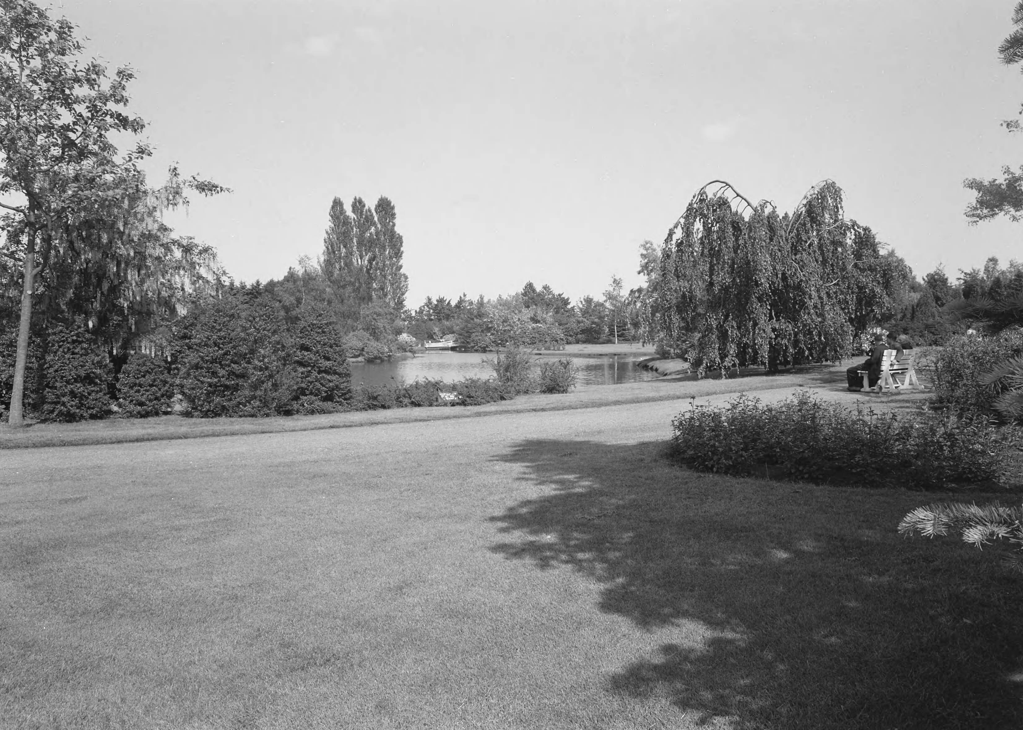 Fotocollectie Nederlandse Heidemaatschappij — Wandelpark Stadskanaal — Foto: Nijhof, [...] / Heidemij. Licentie: Set B: Rechtenvrij / Publiek Domein. Bron: Nationaal Archief. http://hdl.handle.net/10648/ae78607a-d0b4-102d-bcf8-003048976d84