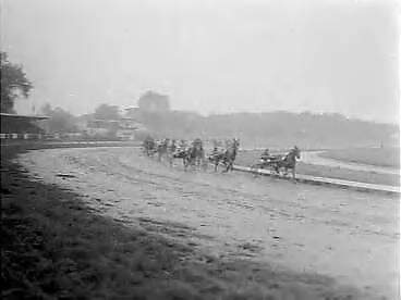 Fotocollectie Anefo — Draverijen en paardenrennen op Duindigt — Foto: Bilsen, Joop van / Anefo. Licentie: Set B: Rechtenvrij / Publiek Domein. Bron: Nationaal Archief. http://hdl.handle.net/10648/a96a9080-d0b4-102d-bcf8-003048976d84