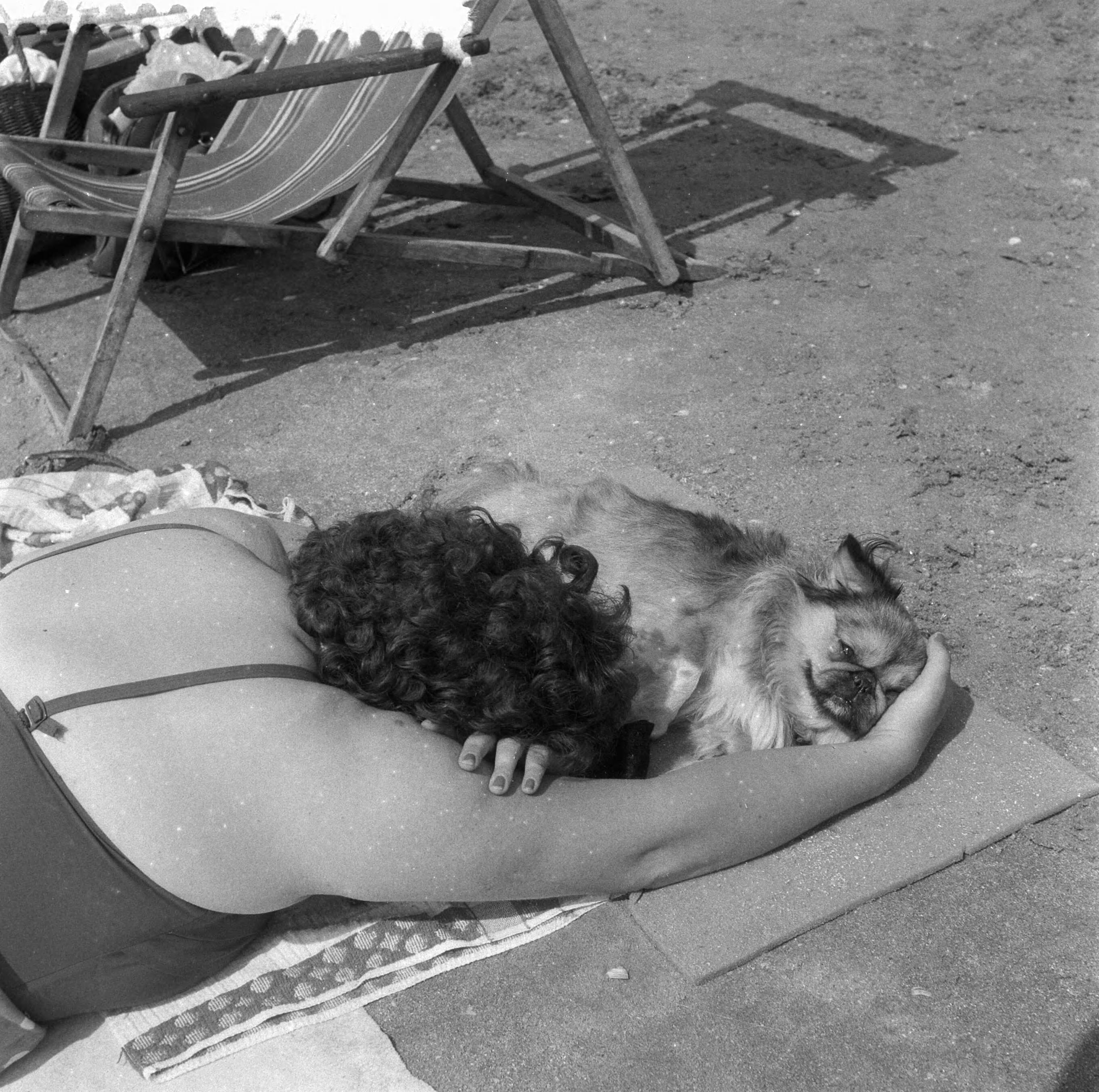 Fotocollectie Anefo — Strandleven te Zandvoort — Foto: Noske, J.D. / Anefo. Licentie: Set B: Rechtenvrij / Publiek Domein. Bron: Nationaal Archief. http://hdl.handle.net/10648/a9666a8c-d0b4-102d-bcf8-003048976d84