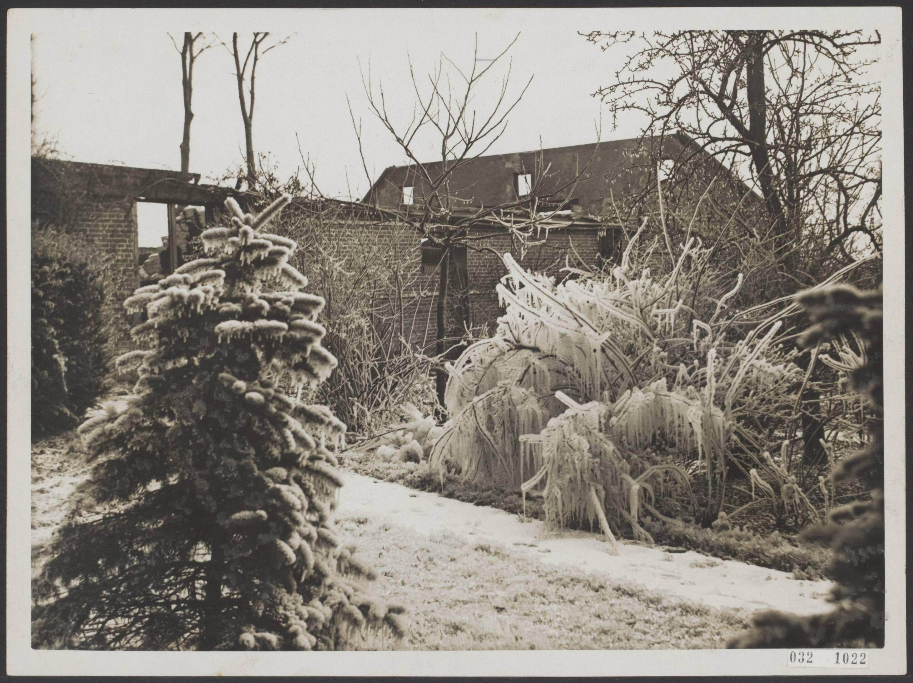 Fotocollectie Elsevier Binnenland — In de nacht van 9 op 10 februari 1932 is om 1 uur 's-nachts brand uitgebroken in de fabriek van industrie-, landbouw- en zuivelwerktuigen annex woonhuis van de heer A. Lanfers te [Eeldersouwde][ Eelde-Paterswolde? red.]. Het water voor het blussen moest uit een tochtsloot 300 meter verderop gehaald worden. Het gebouw is tot de grond toe afgebrand. Struiken bedekt met bevroren bluswater — Foto: N.V. Polygoon. Licentie: Set B: Rechtenvrij / Publiek Domein. Bron: Nationaal Archief. http://hdl.handle.net/10648/ade50190-d0b4-102d-bcf8-003048976d84