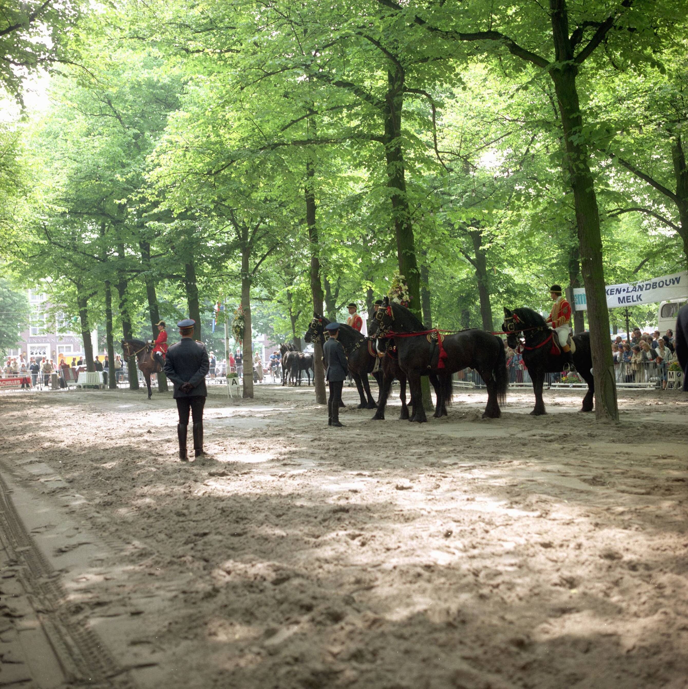 Fotocollectie RVD / Koninklijk Huis — Koninklijke stallen. Oefening op Lange Voorhout te Den Haag — Foto: Studio Lanza / RVD. Licentie: Set B: Rechtenvrij / Publiek Domein. Bron: Nationaal Archief. http://hdl.handle.net/10648/afb1dfd4-d0b4-102d-bcf8-003048976d84