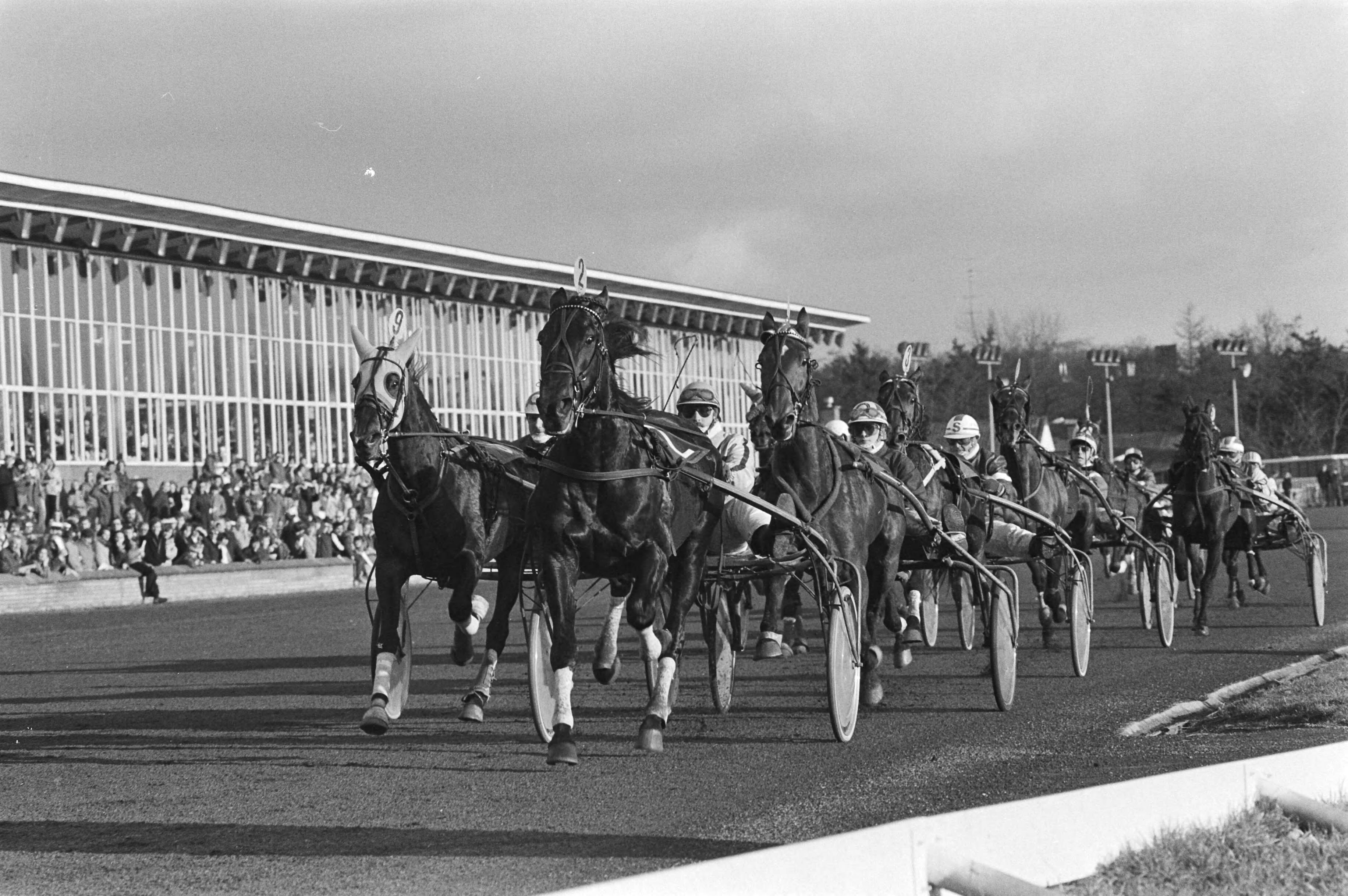 Fotocollectie Anefo — Hilversum, draverij om de Grote Kerstprijs, tweede manch nummer 2 Keystone Master (met Obermeyer) hier op kop — Foto: Dijk, Hans van / Anefo. Licentie: Set B: Rechtenvrij / Publiek Domein. Bron: Nationaal Archief. http://hdl.handle.net/10648/acf1192c-d0b4-102d-bcf8-003048976d84