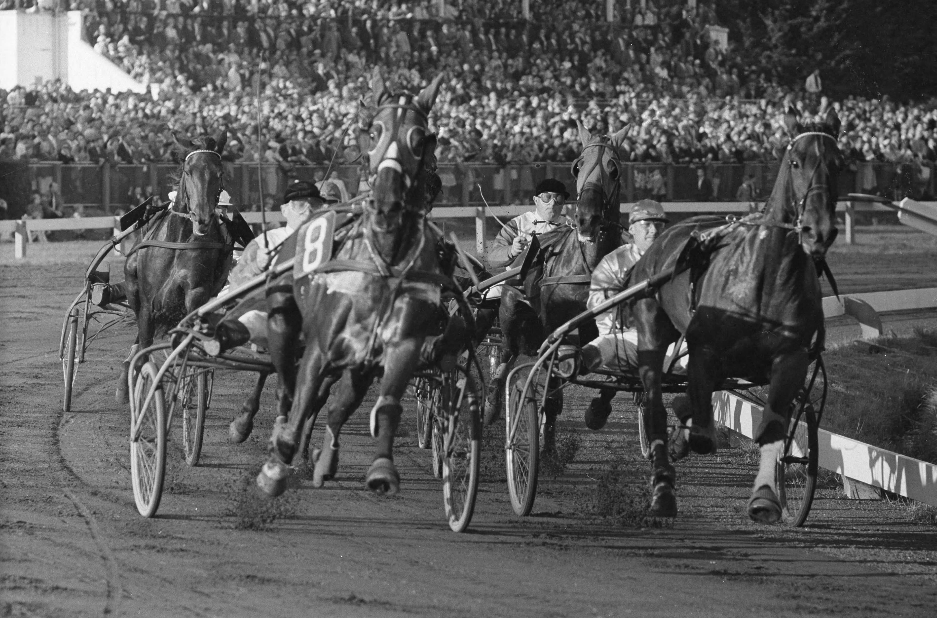 Fotocollectie Anefo — 25e draversontmoeting Nederland tegen België op Duindigt. Hele veld bijeen in 1ste bocht — Foto: Pot, Harry / Anefo. Licentie: Set B: Rechtenvrij / Publiek Domein. Bron: Nationaal Archief. http://hdl.handle.net/10648/a9e48f98-d0b4-102d-bcf8-003048976d84