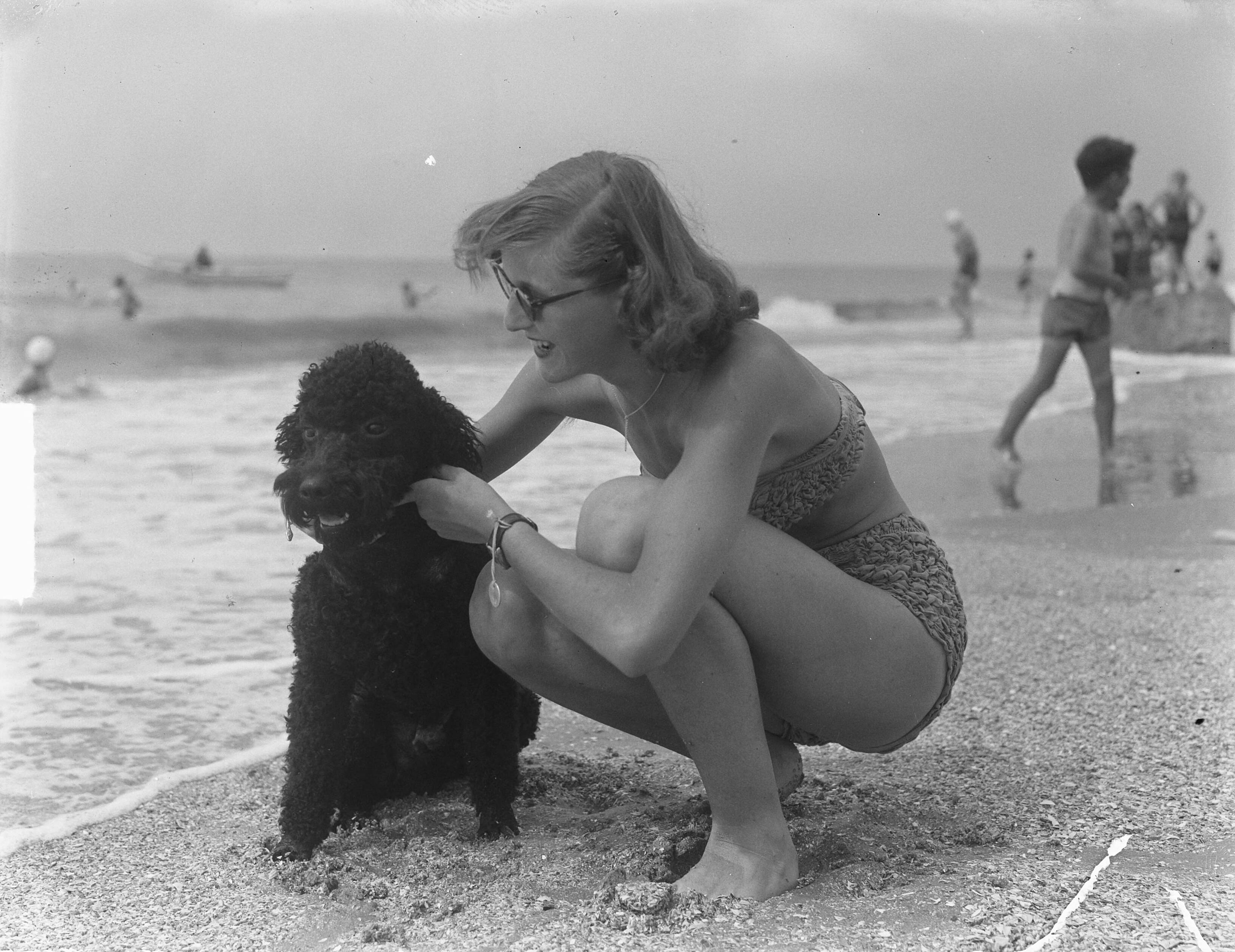 Badseizoen Zandvoort. Dames — Badseizoen Zandvoort. Dames op het strand (jonge vrouw met hond) — Foto: Pot, Harry / Anefo. Licentie: Set B: Rechtenvrij / Publiek Domein. Bron: Nationaal Archief. http://hdl.handle.net/10648/a8dbbaa4-d0b4-102d-bcf8-003048976d84