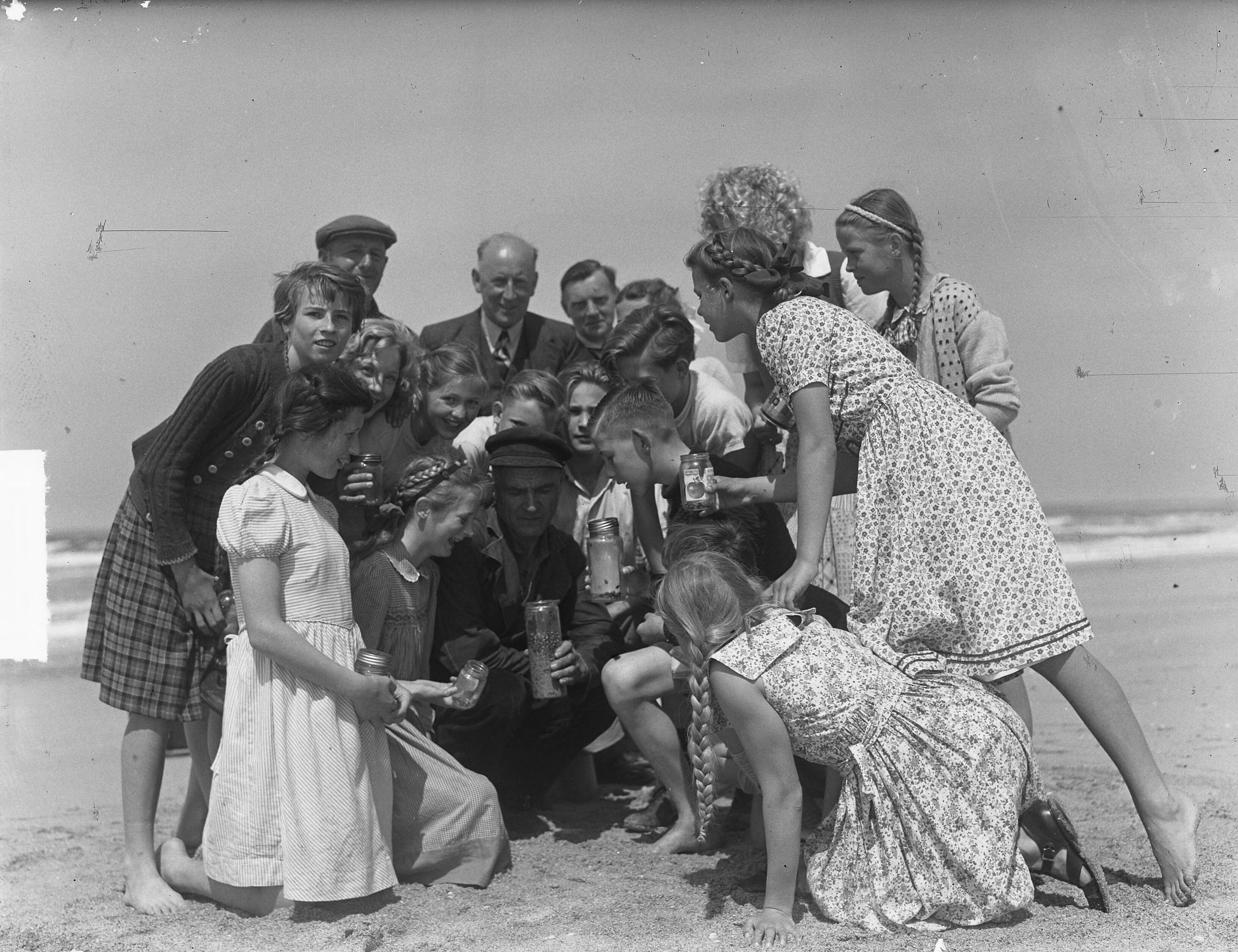 Coloradokevers in Hoedekenskerke (Zeeland) — Publiek zoekt naar coloradokevers op het strand van Zandvoort — Foto: Pot, Harry / Anefo. Licentie: Set B: Rechtenvrij / Publiek Domein. Bron: Nationaal Archief. http://hdl.handle.net/10648/a8d8f4f4-d0b4-102d-bcf8-003048976d84