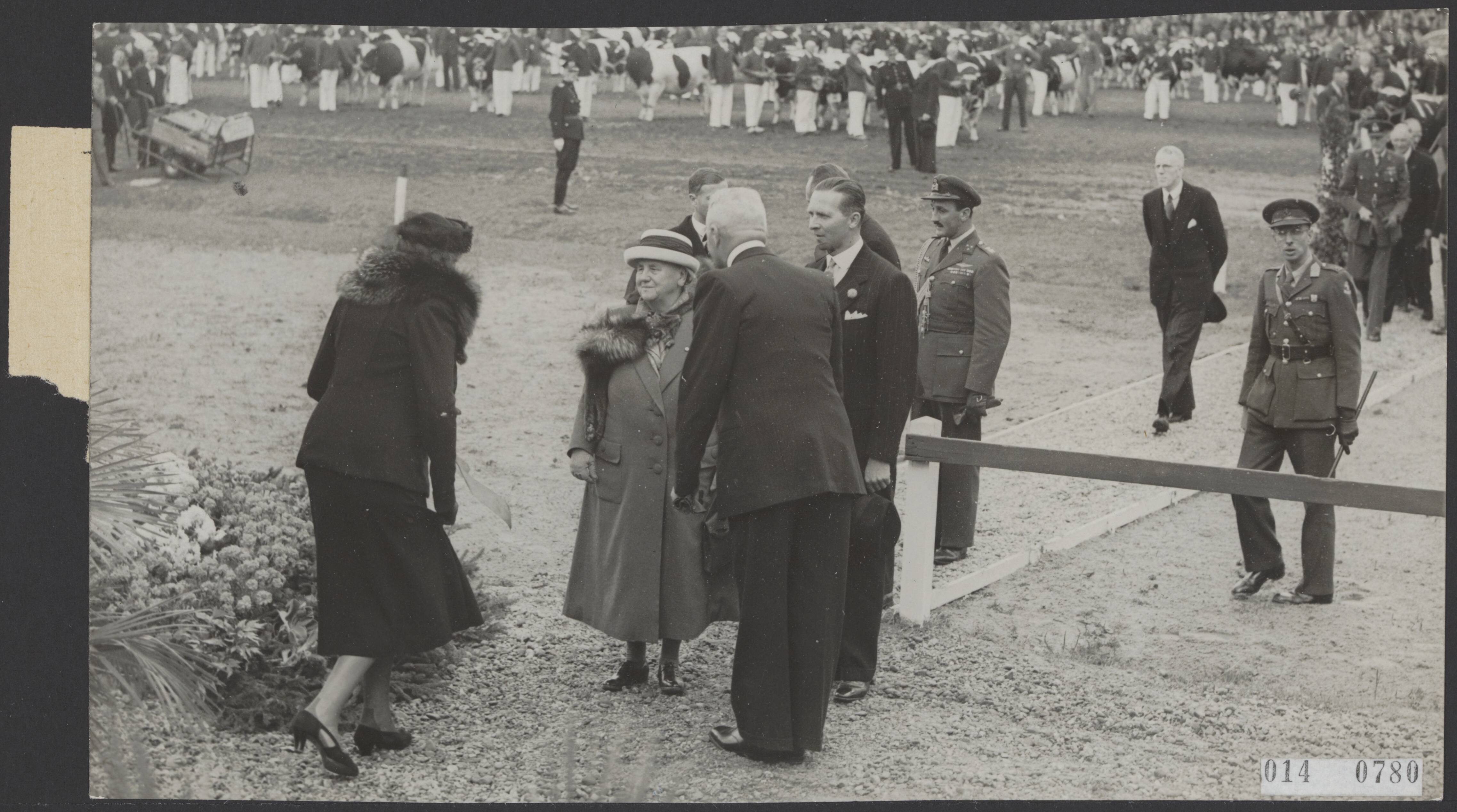 Fotocollectie Elsevier Binnenland — Bezoek van koningin Wilhelmina aan de Friese Landbouwtentoonstelling te Leeuwarden, alwaar zij de grote keuring van het stamboekvee bijwoonde — Foto: ANP / RVD of rechtenvrij. Licentie: Set B: Rechtenvrij / Publiek Domein. Bron: Nationaal Archief. http://hdl.handle.net/10648/adb1b56a-d0b4-102d-bcf8-003048976d84