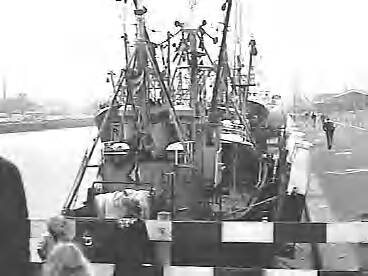 Fotocollectie Rijksvoorlichtingsdienst Eigen — dias vlaggetjesdag scheveningen — Foto: Schuurman, Ralph L. / RVD. Licentie: Set B: Rechtenvrij / Publiek Domein. Bron: Nationaal Archief. http://hdl.handle.net/10648/af733d7e-d0b4-102d-bcf8-003048976d84