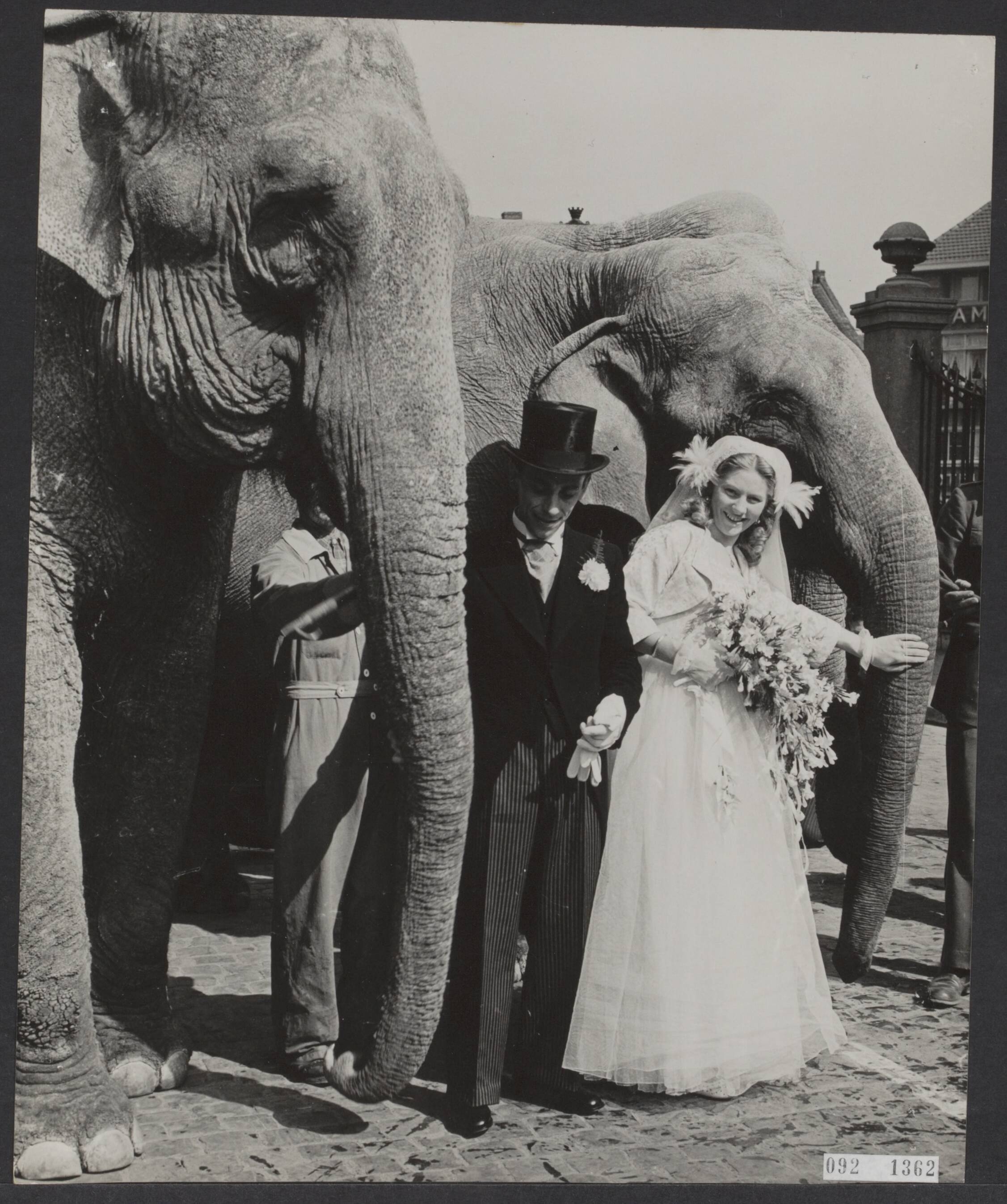 Fotocollectie Elsevier Binnenland — Circushuwelijk van Josee Mullens en Henri Strassburger te Maastricht voltrokken. Het bruidspaar ging te paard voorafgegaan door het circusorkest en gevolgd door de artiesten en olifanten van het circus naar het stadhuis op de Markt — Foto: Fotograaf Onbekend / Anefo. Licentie: Set B: Rechtenvrij / Publiek Domein. Bron: Nationaal Archief. http://hdl.handle.net/10648/ae26c79c-d0b4-102d-bcf8-003048976d84