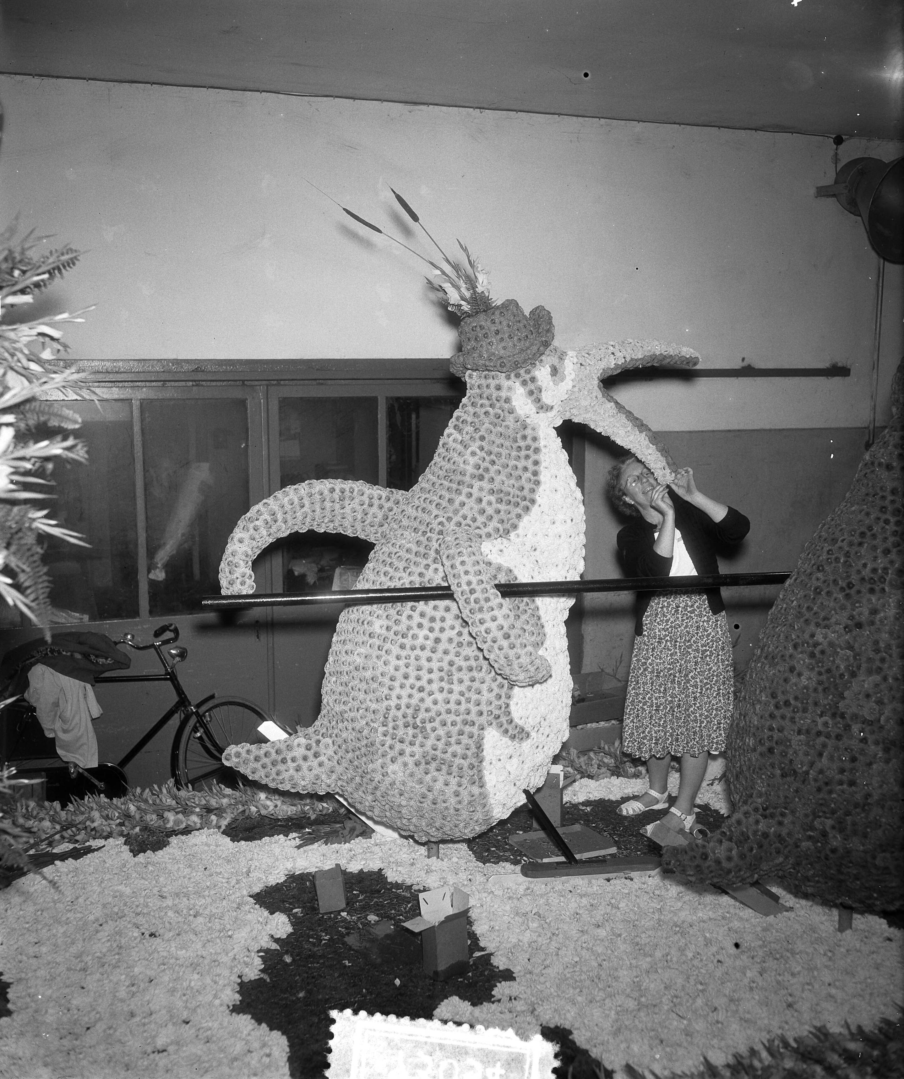 Fotocollectie Anefo — Bloemencorso Aalsmeer. Optuigen der bloemenwagens voor defilé in Amsterdam — Foto: Rossem, Wim van / Anefo. Licentie: Set B: Rechtenvrij / Publiek Domein. Bron: Nationaal Archief. http://hdl.handle.net/10648/a93a5a78-d0b4-102d-bcf8-003048976d84