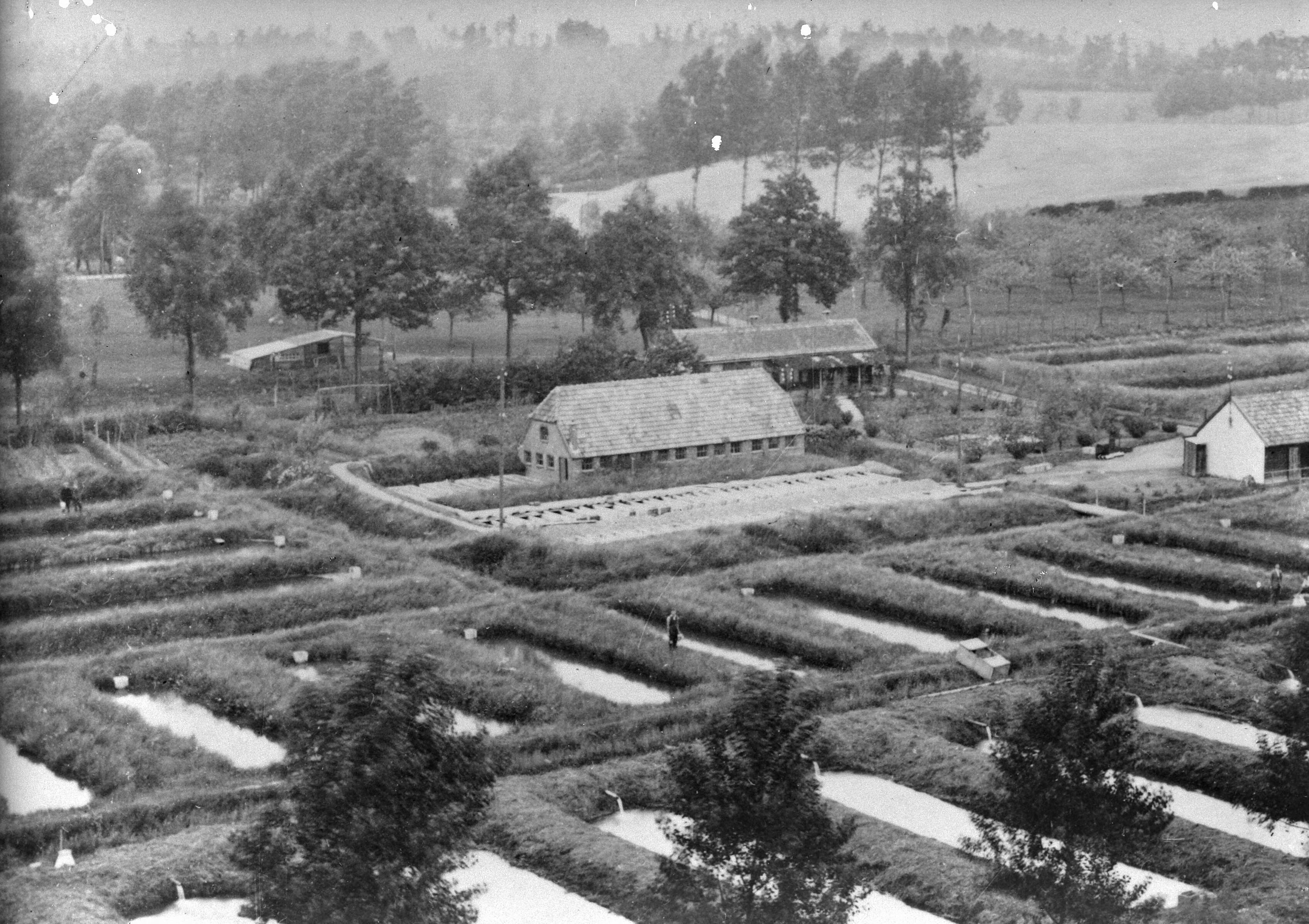 Fotocollectie Nederlandse Heidemaatschappij — Viskwekerijk te Gulpen — Foto: Fotograaf Onbekend / Heidemij. Licentie: Set B: Rechtenvrij / Publiek Domein. Bron: Nationaal Archief. http://hdl.handle.net/10648/ae7c5202-d0b4-102d-bcf8-003048976d84