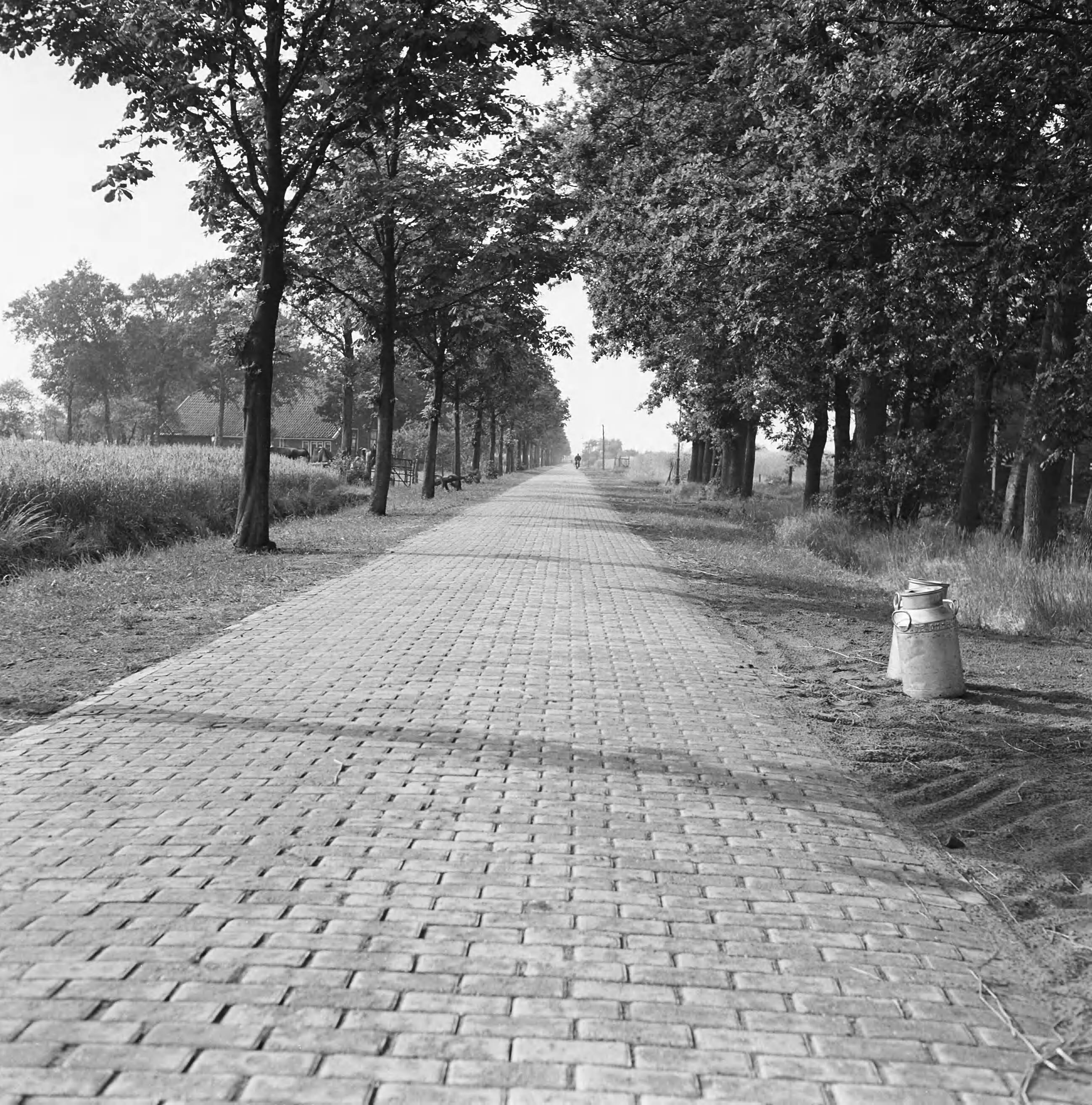 Fotocollectie Nederlandse Heidemaatschappij — Weg langs recreatieoord te Sellingen (Gr.) — Foto: Eyssen, [...] / Heidemij. Licentie: Set B: Rechtenvrij / Publiek Domein. Bron: Nationaal Archief. http://hdl.handle.net/10648/ae7b7896-d0b4-102d-bcf8-003048976d84