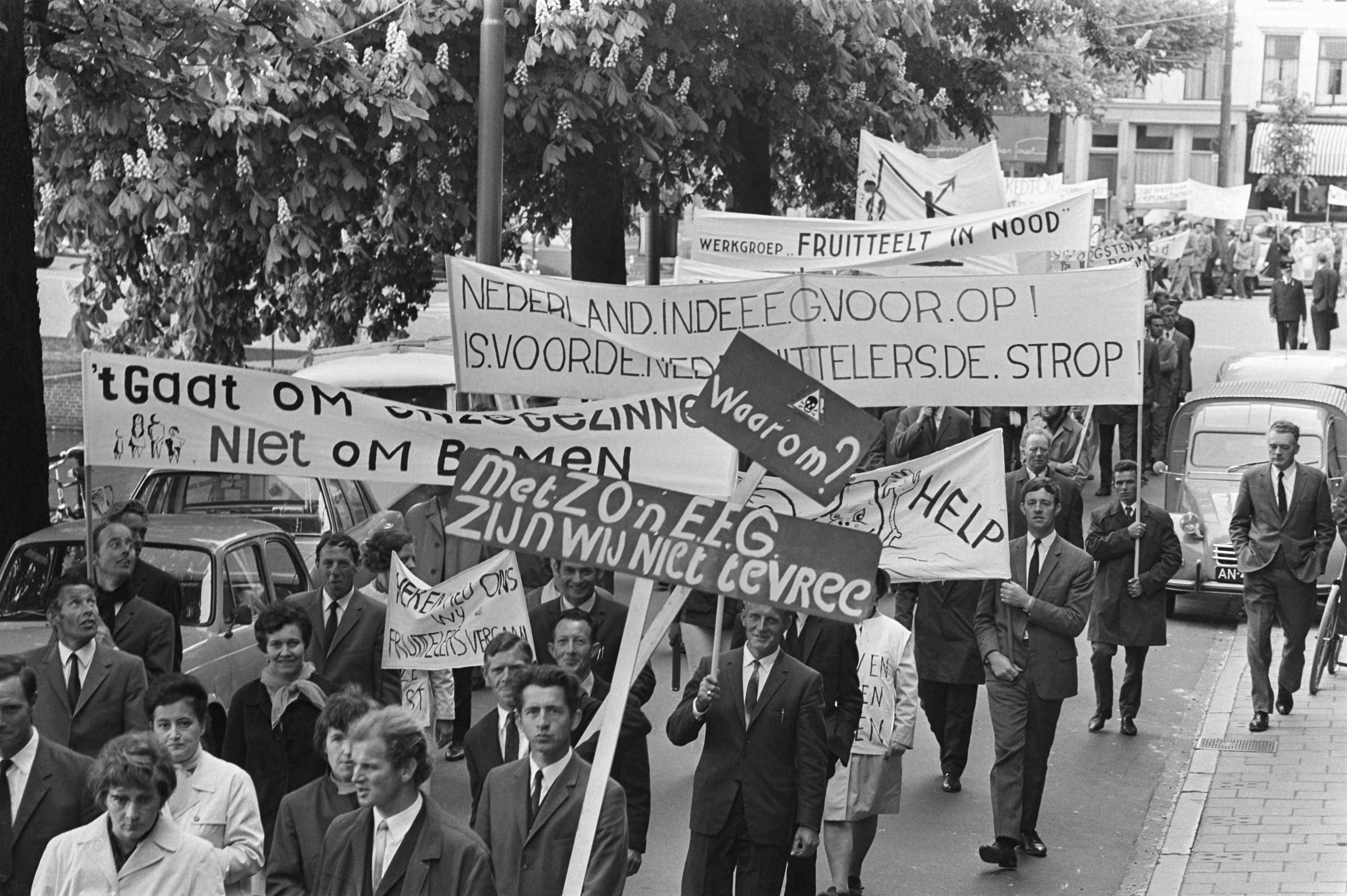 Fotocollectie Anefo — Fruittelers demonstreren met borden in Den Haag ; demonstranten onderweg naar Ministerie van Landbouw — Foto: Evers, Joost / Anefo. Licentie: Set B: Rechtenvrij / Publiek Domein. Bron: Nationaal Archief. http://hdl.handle.net/10648/ab980a2c-d0b4-102d-bcf8-003048976d84